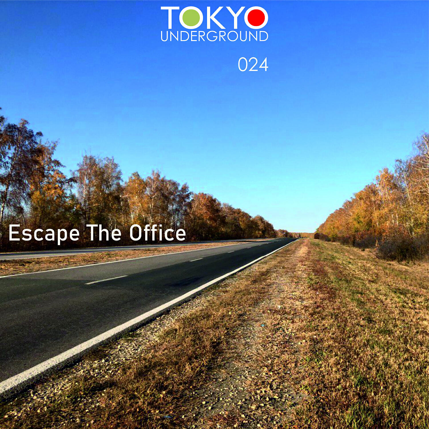 Dormidontov - Escape The Office (feat. Maksim Biserov)
