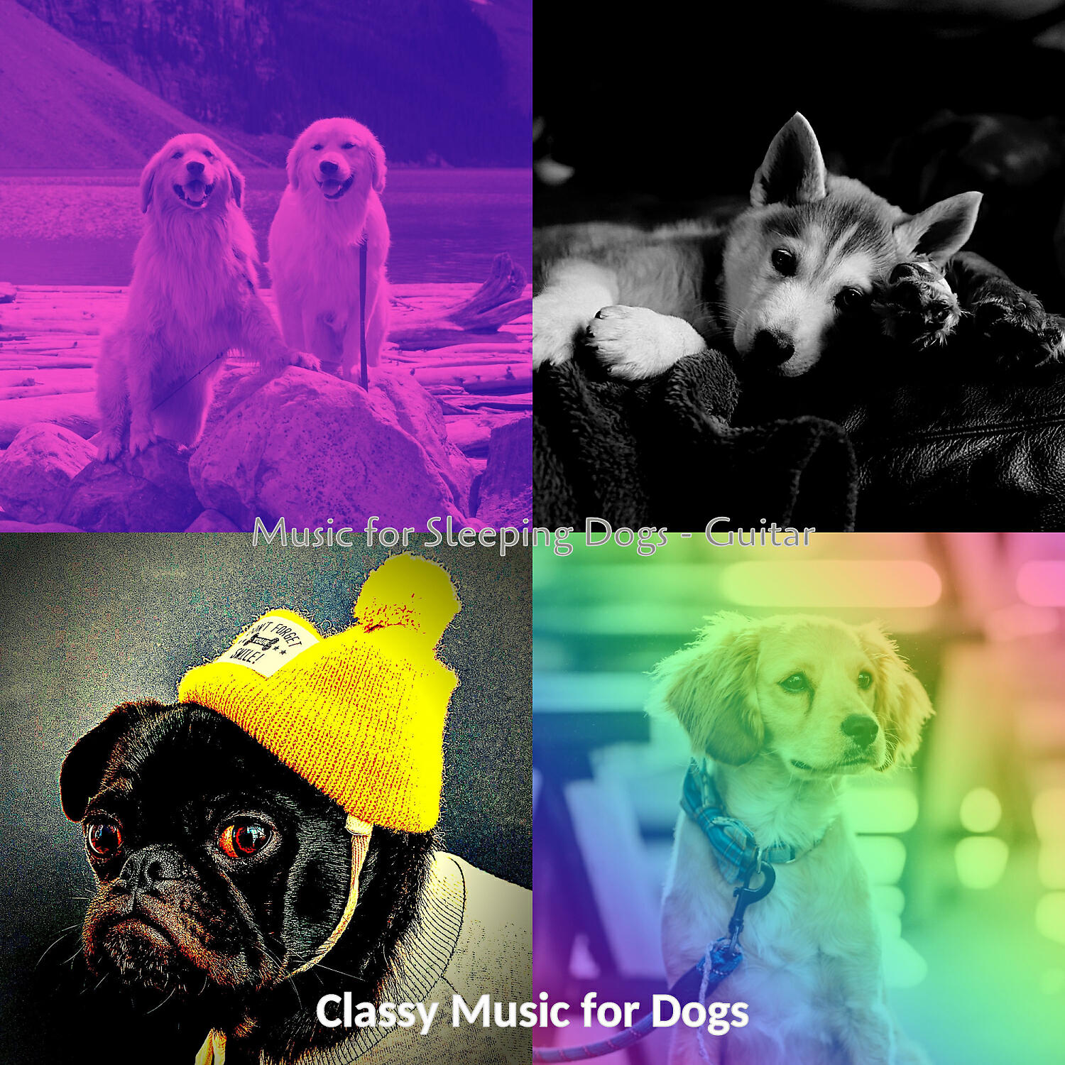 Classy Music for Dogs - Atmospheric Music for Separation Anxiety