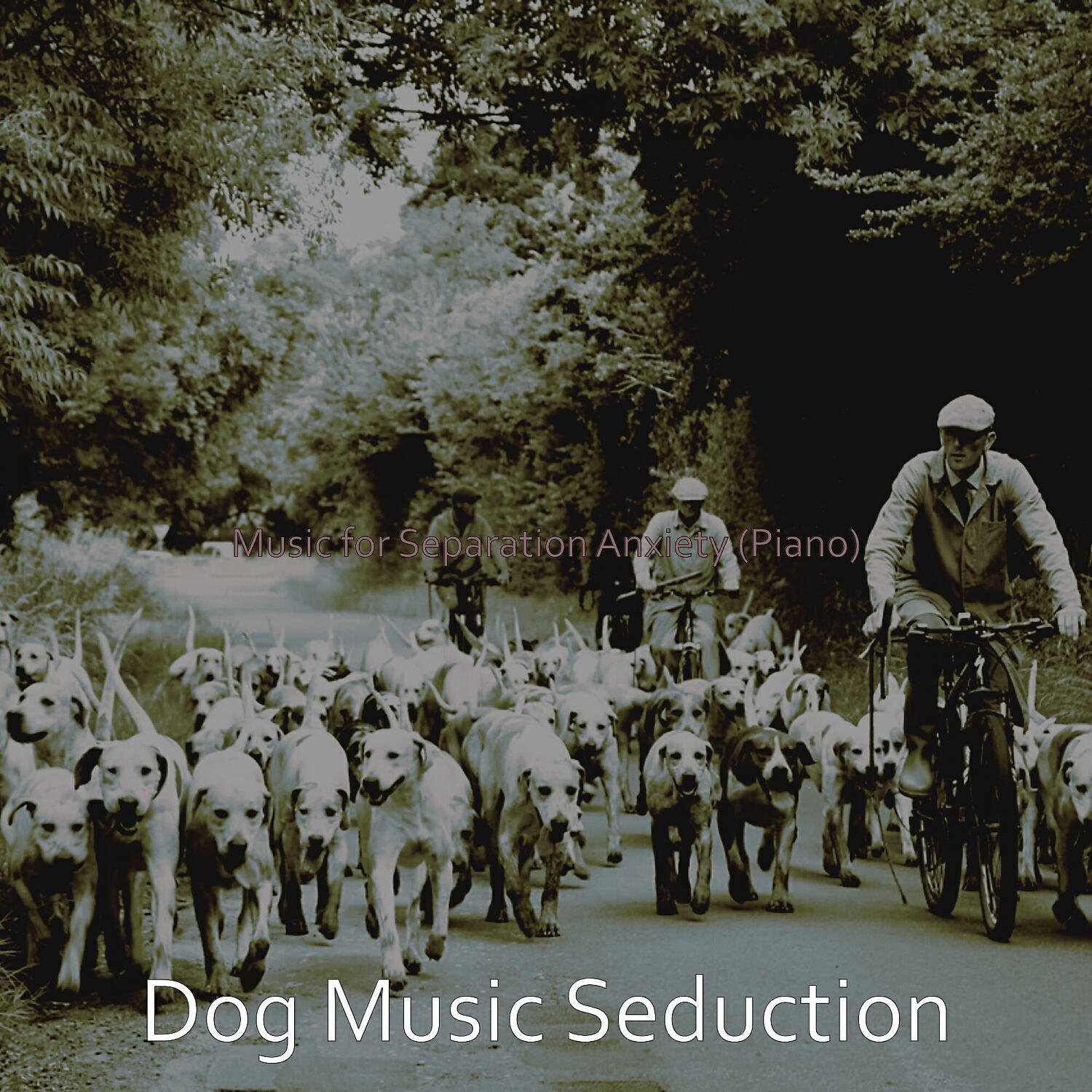 Dog Music Seduction - Fun Ambiance for Resting Dogs