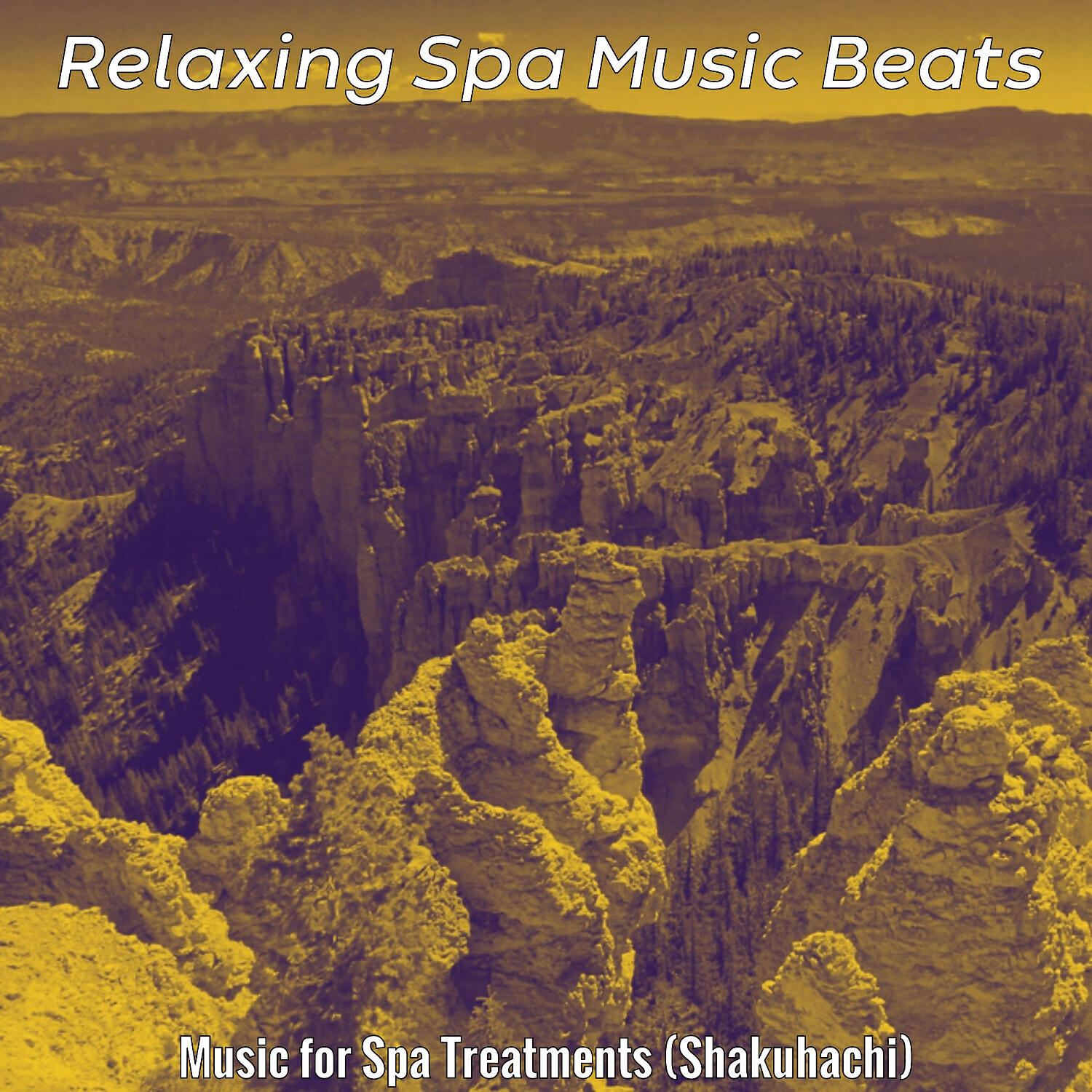 Relaxing Spa Music Beats - Divine Moods for 1 Hour Spa