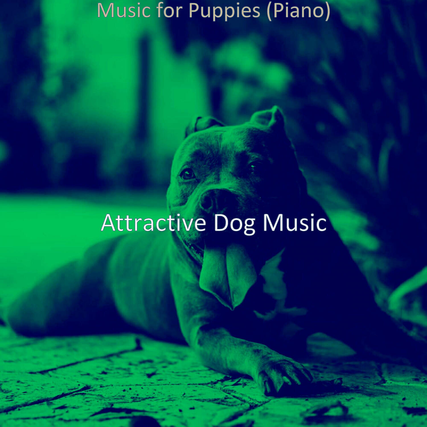 Attractive Dog Music - Contemporary Music for Separation Anxiety