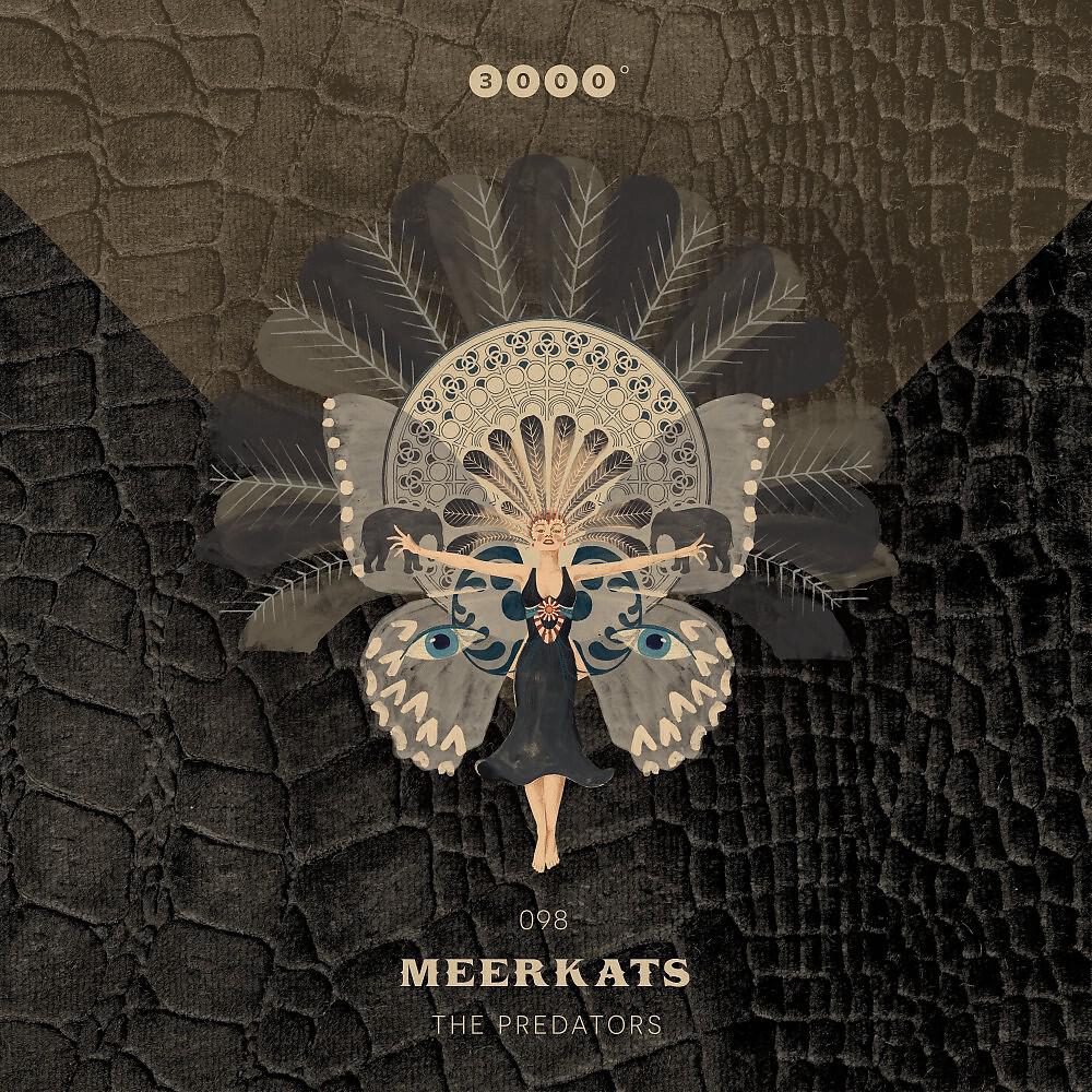 Meerkats - Black Widow