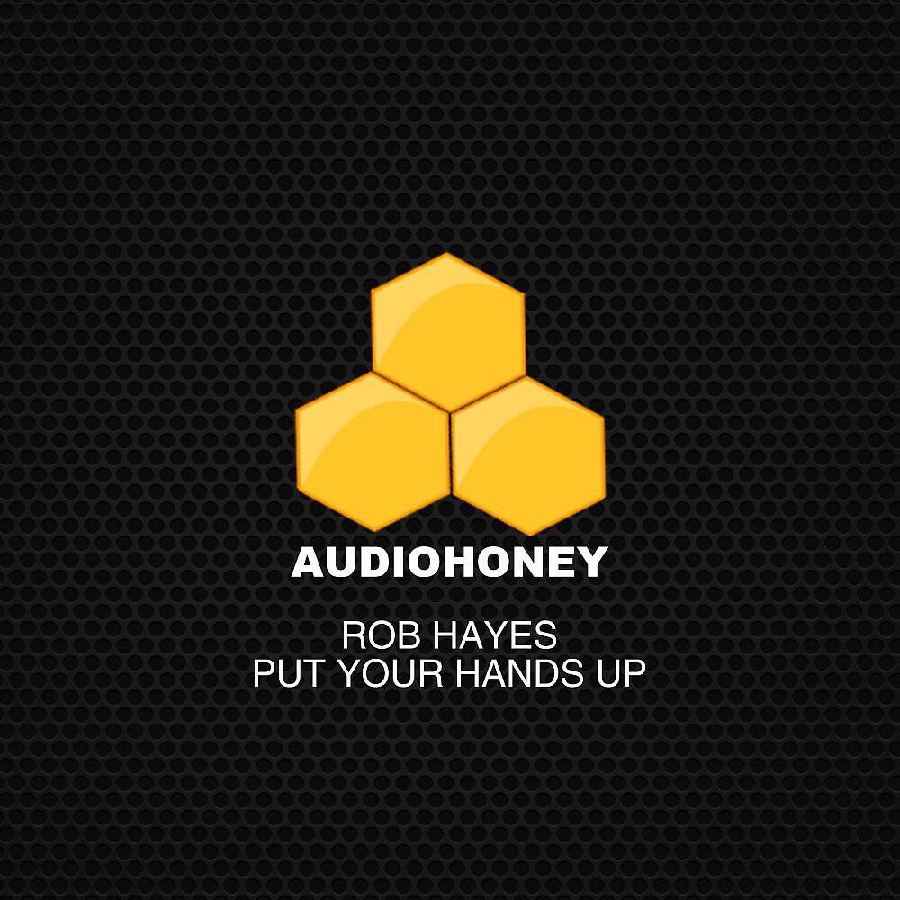 Rob Hayes - Put Your Hands Up