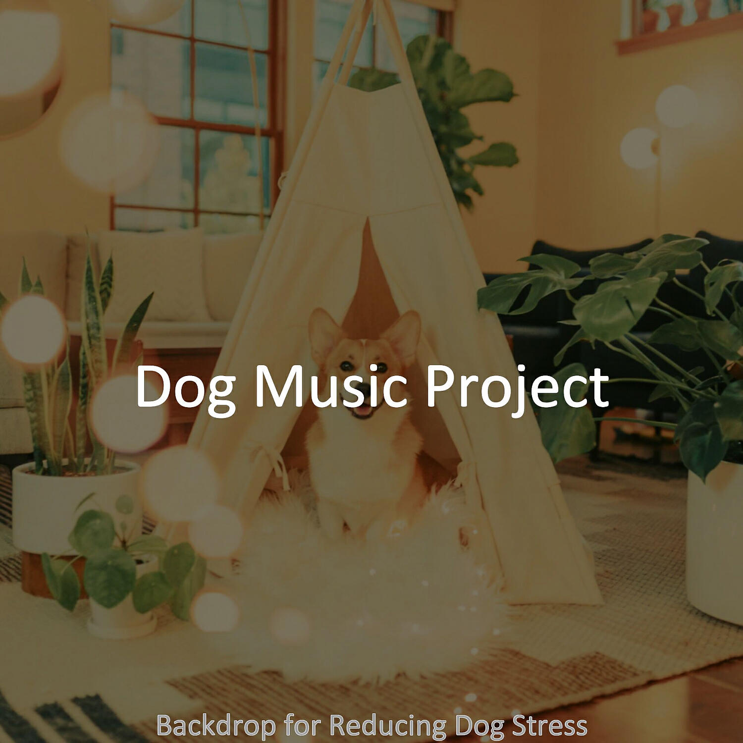 Dog Music Project - Bubbly Solo Piano Jazz - Vibe for Reducing Dog Stress