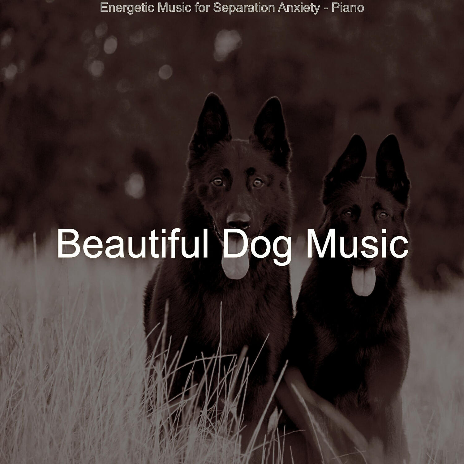 Beautiful Dog Music - Remarkable Solo Piano Jazz - Vibe for Cute Dogs