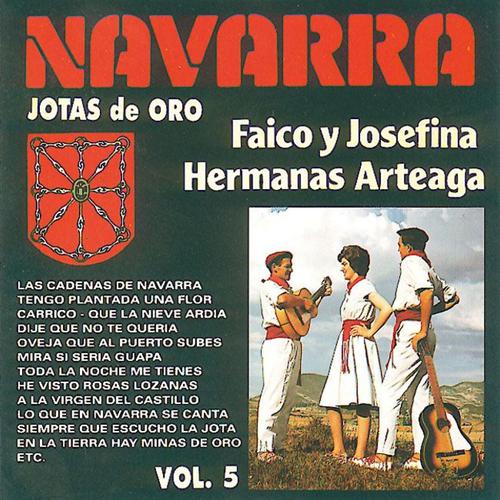 Постер альбома Jotas de Oro : Navarra, Vol. 5