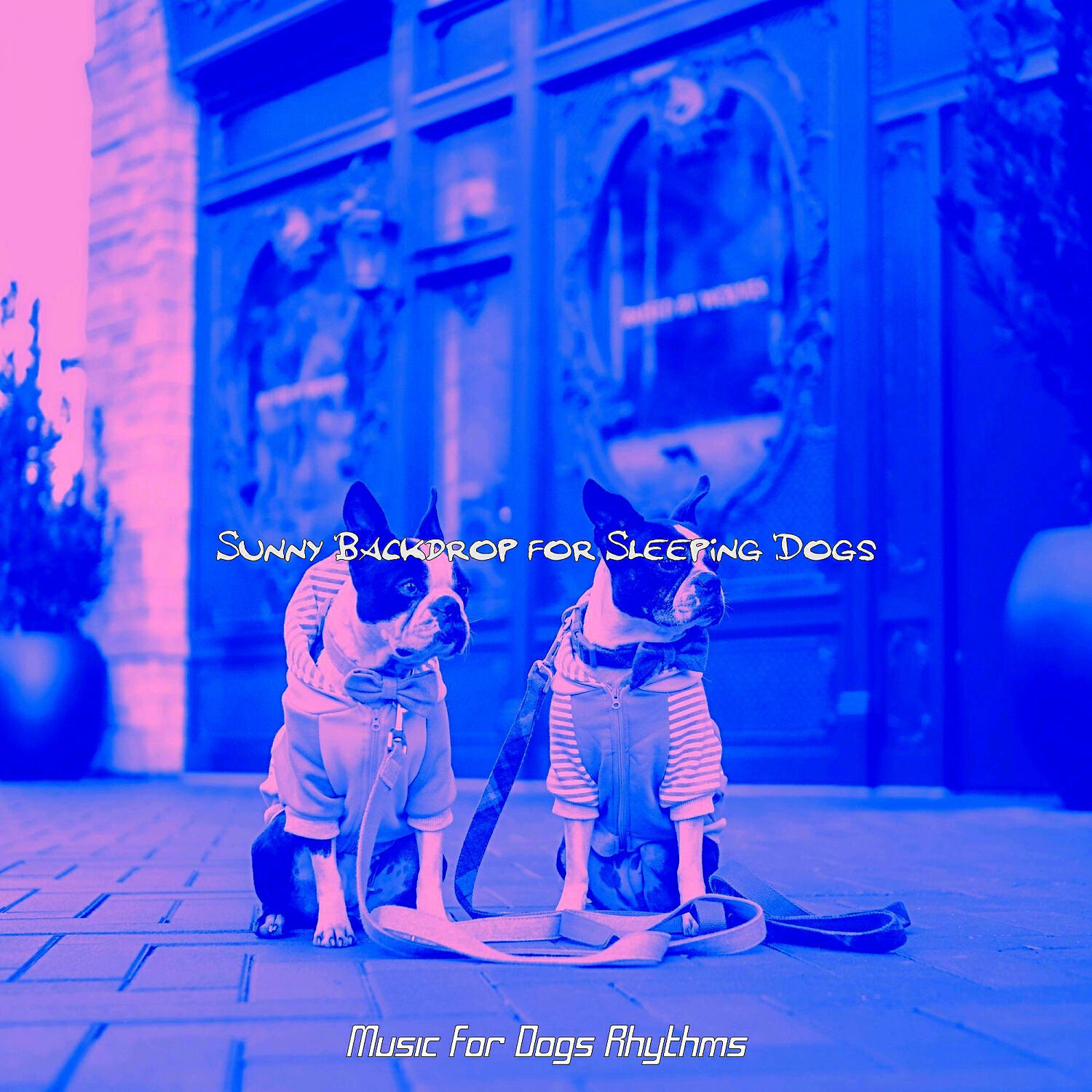 Music for Dogs Rhythms - Trio Jazz Soundtrack for Sleeping Dogs