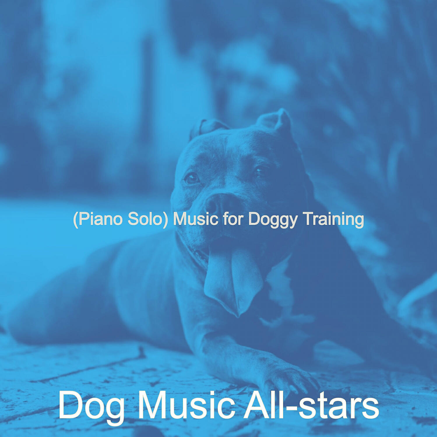 Dog Music All-stars - High Class Solo Piano Jazz - Vibe for Resting Dogs