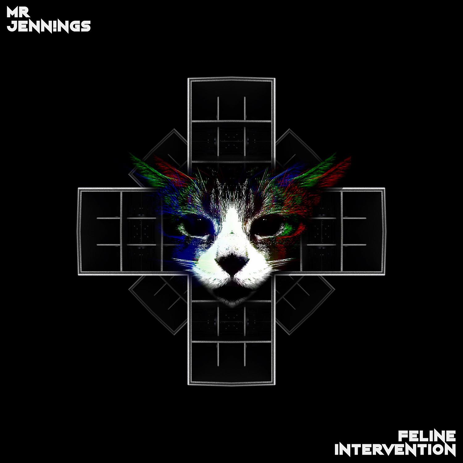 Постер альбома Feline Intervention
