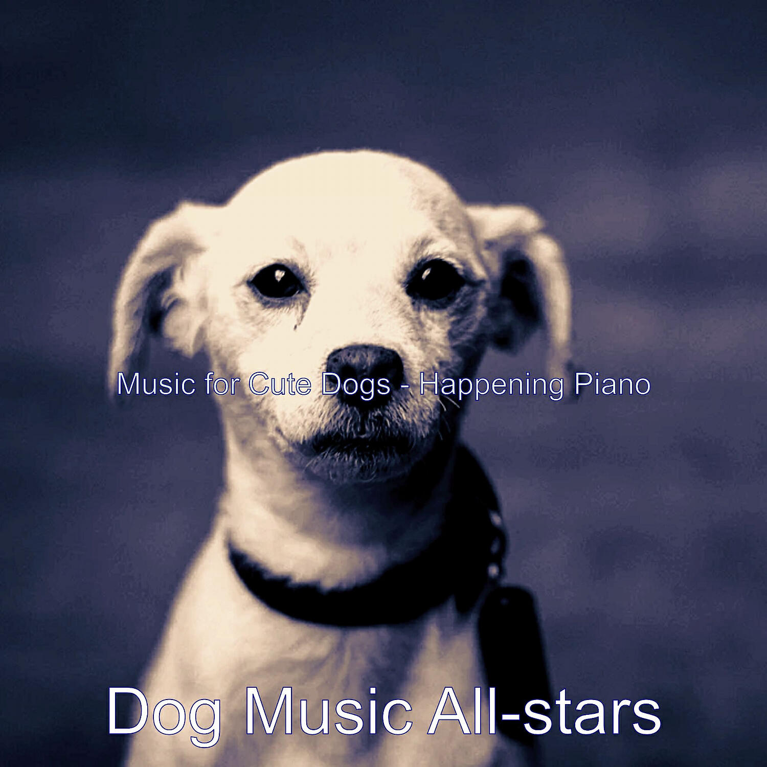 Dog Music All-stars - Stylish Ambience for Reducing Dog Stress