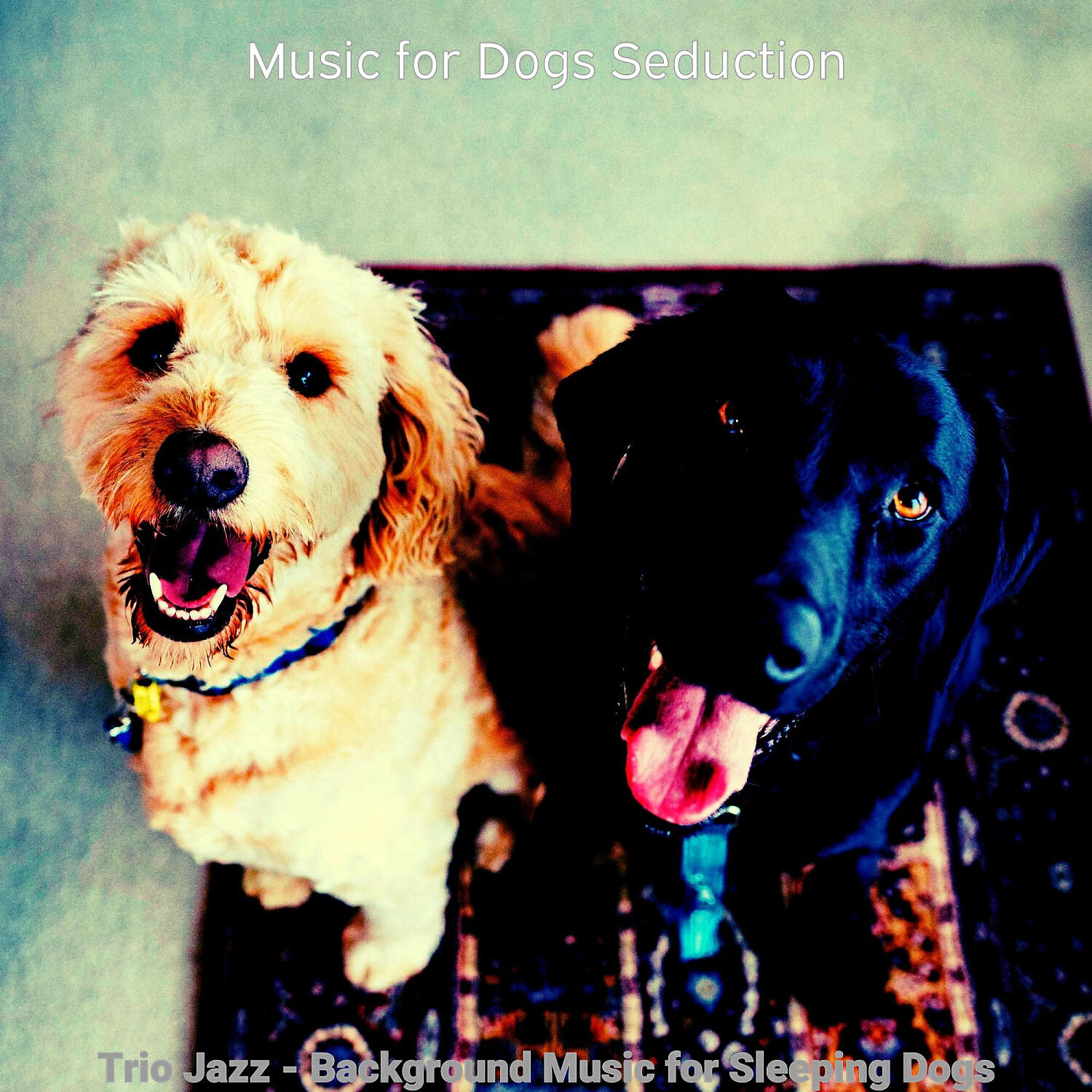 Music for Dogs Seduction - Mind-blowing Moods for Training Dogs