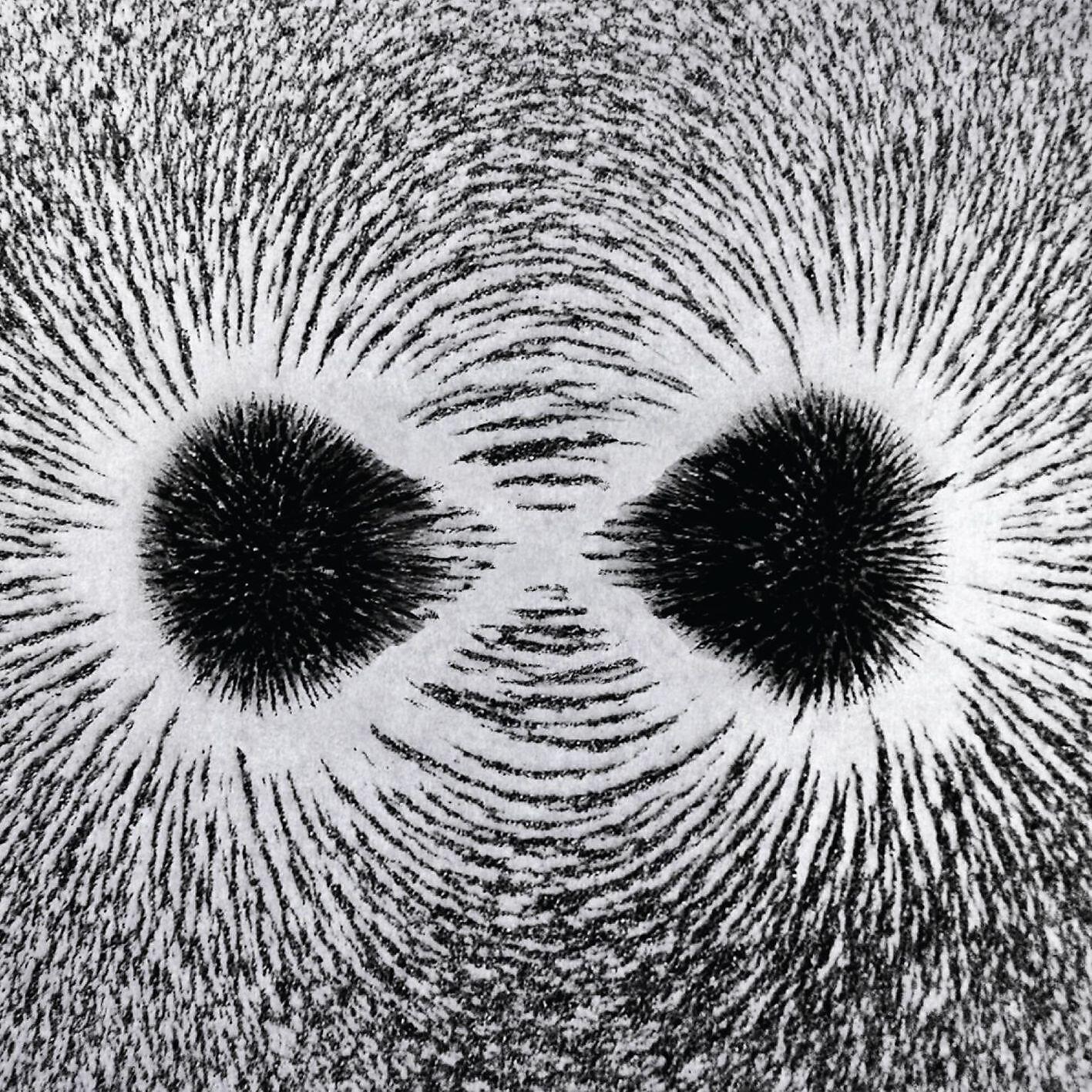 The Corrections - Barcode
