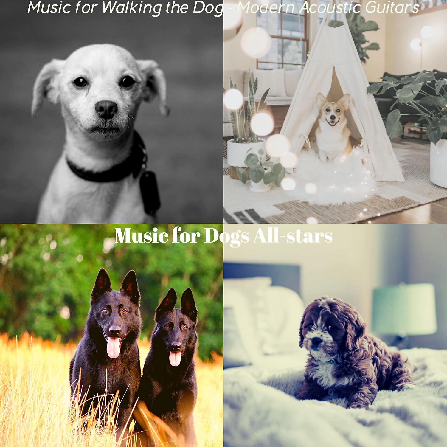 Music for Dogs All-stars - Easy Listening Acoustic Guitar Soundtrack for Calming Dogs