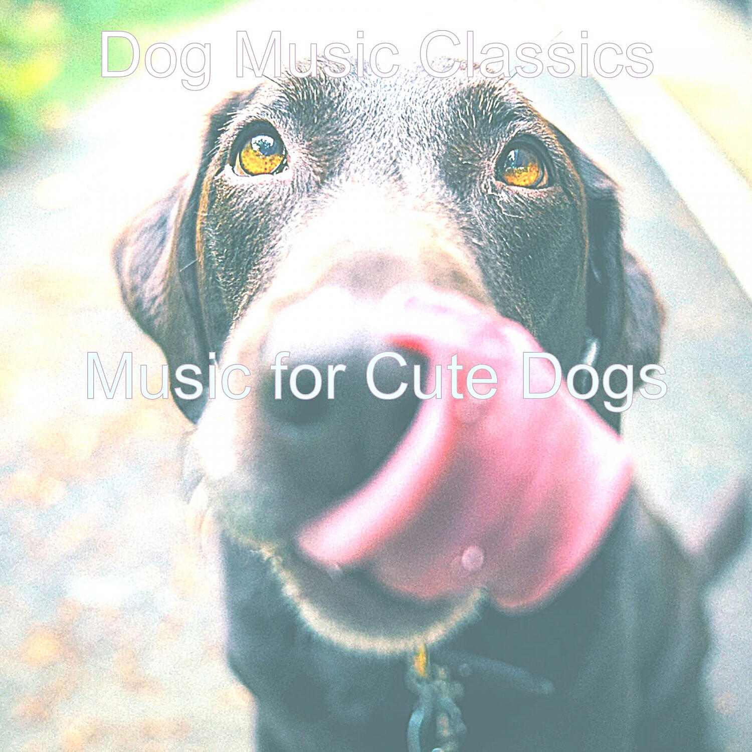 Dog Music Classics - Vintage Solo Piano Jazz - Vibe for Cute Dogs
