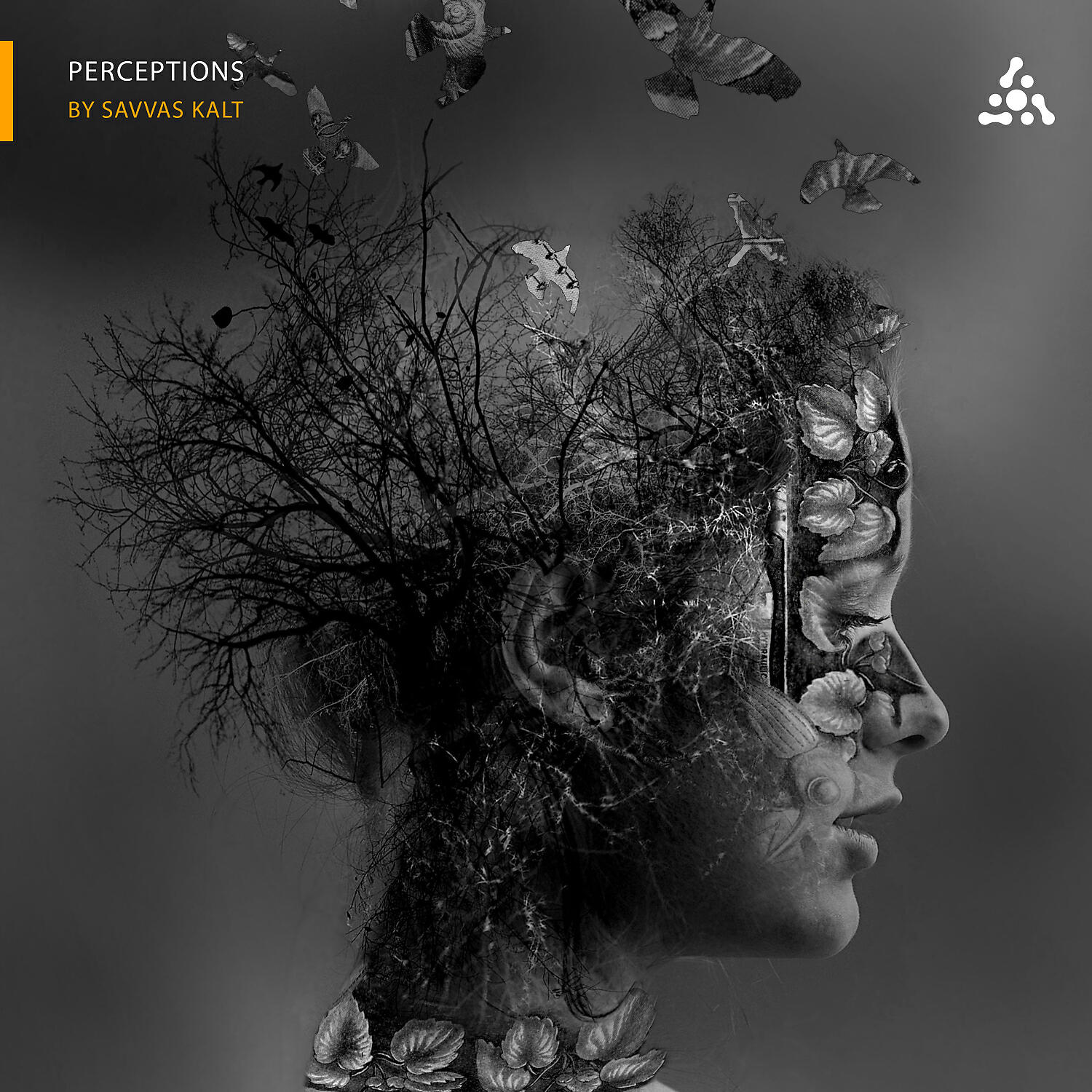 Dynamic Illusion - Beyond Infinity