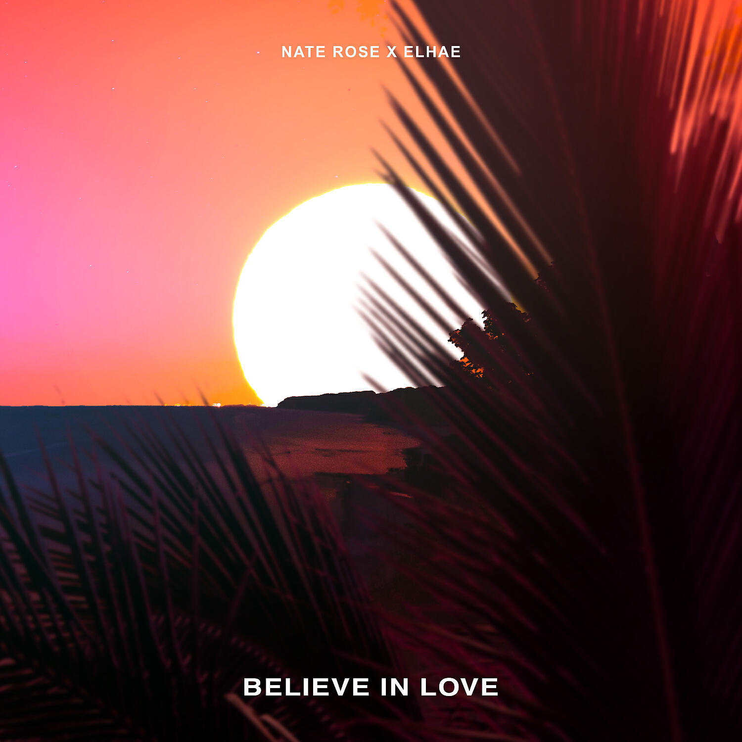 Nate Rose - Believe In Love (feat. ELHAE)