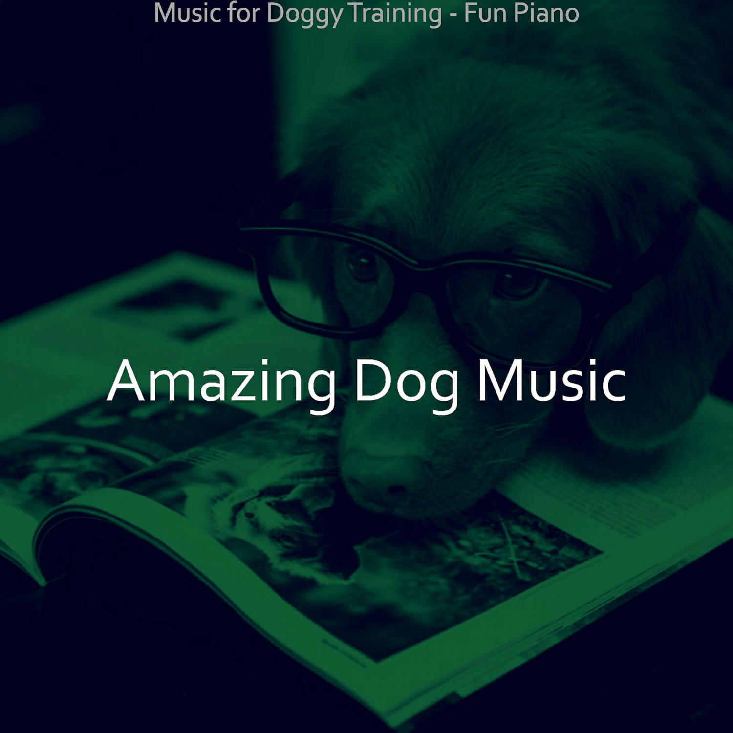 Amazing Dog Music - Sophisticated Solo Piano Jazz - Vibe for Doggy Training