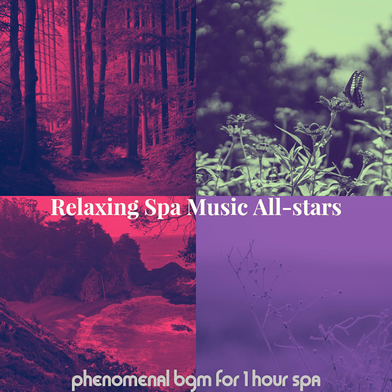 Relaxing Spa Music All-stars - Unique 1 Hour Spa
