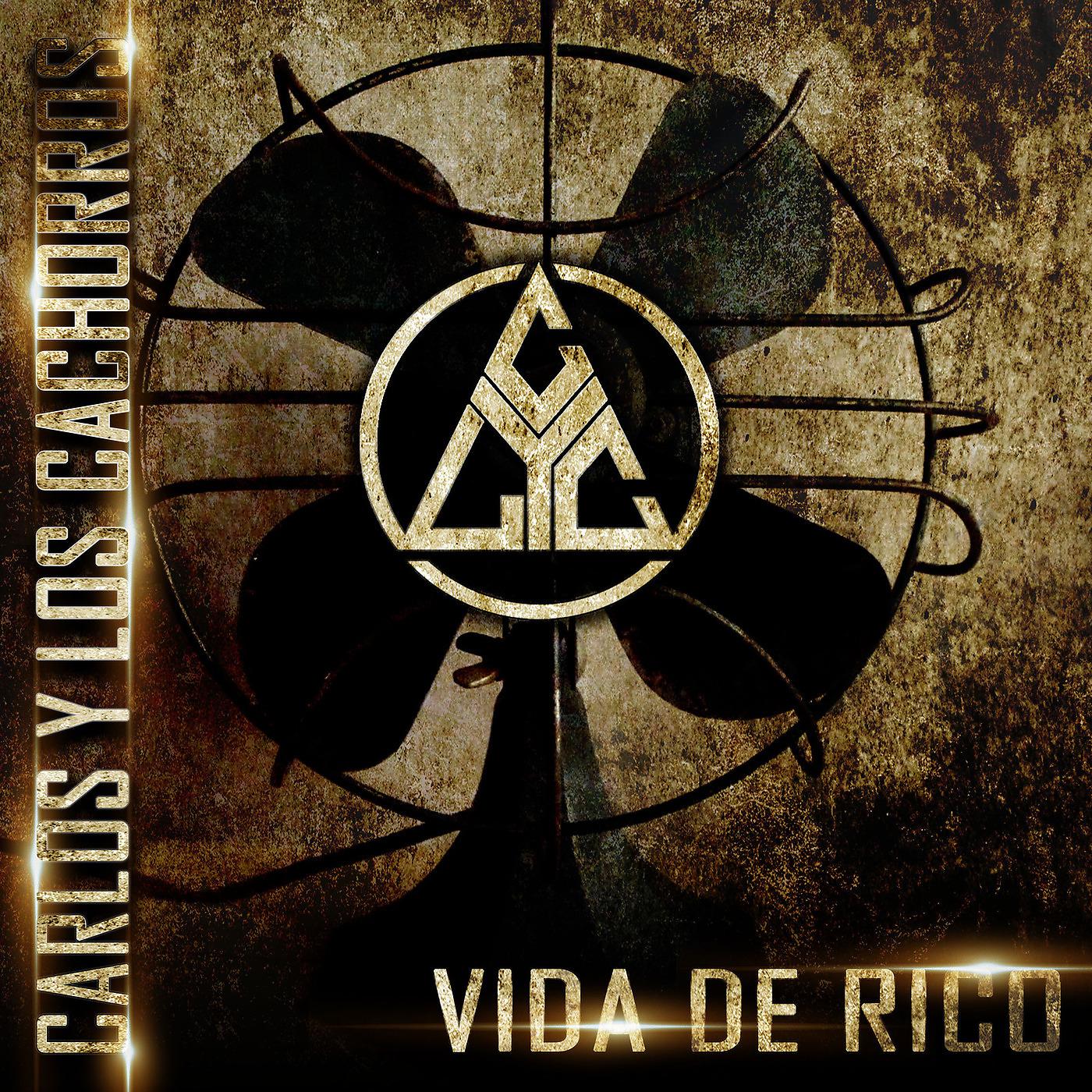 Постер альбома Vida De Rico