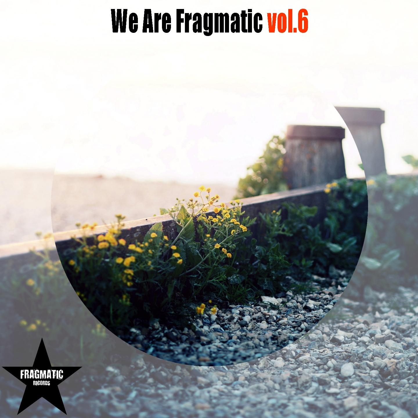 Постер альбома We Are Fragmatic, Vol. 6