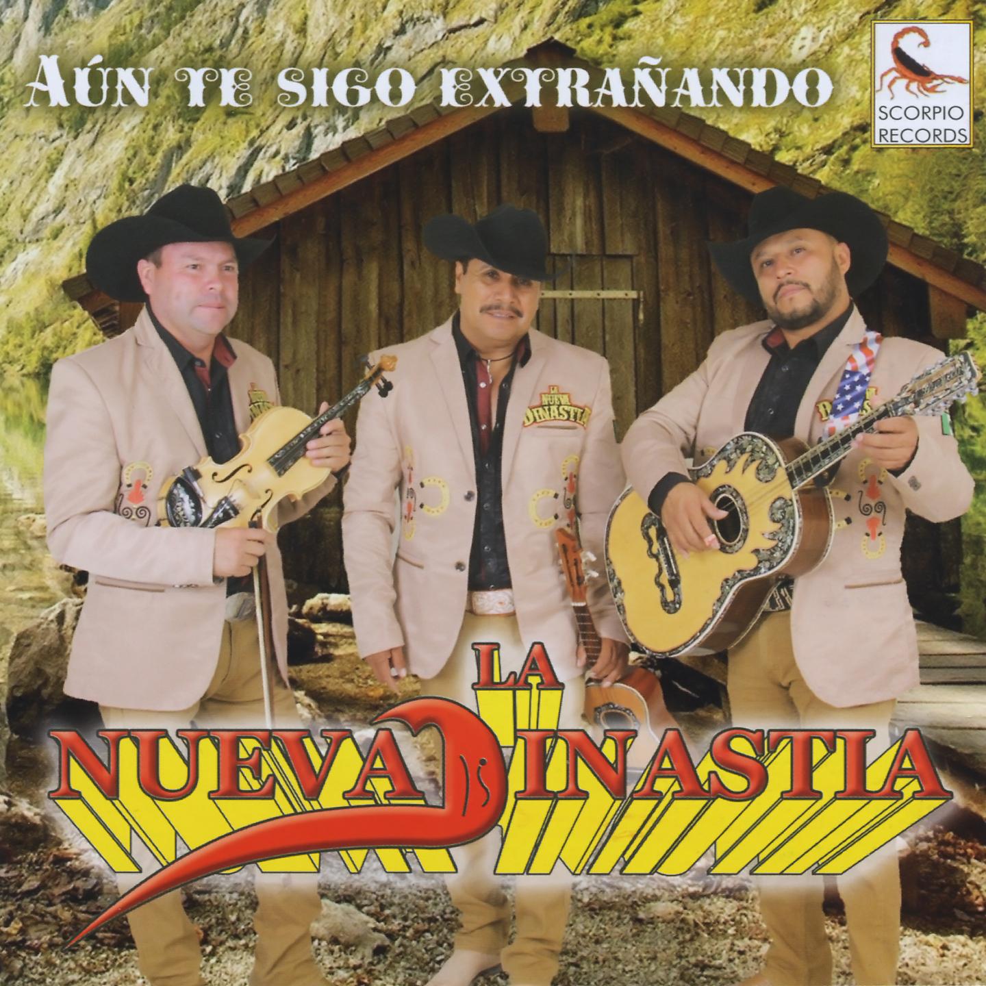 Постер альбома Aún Te Sigo Extrañando