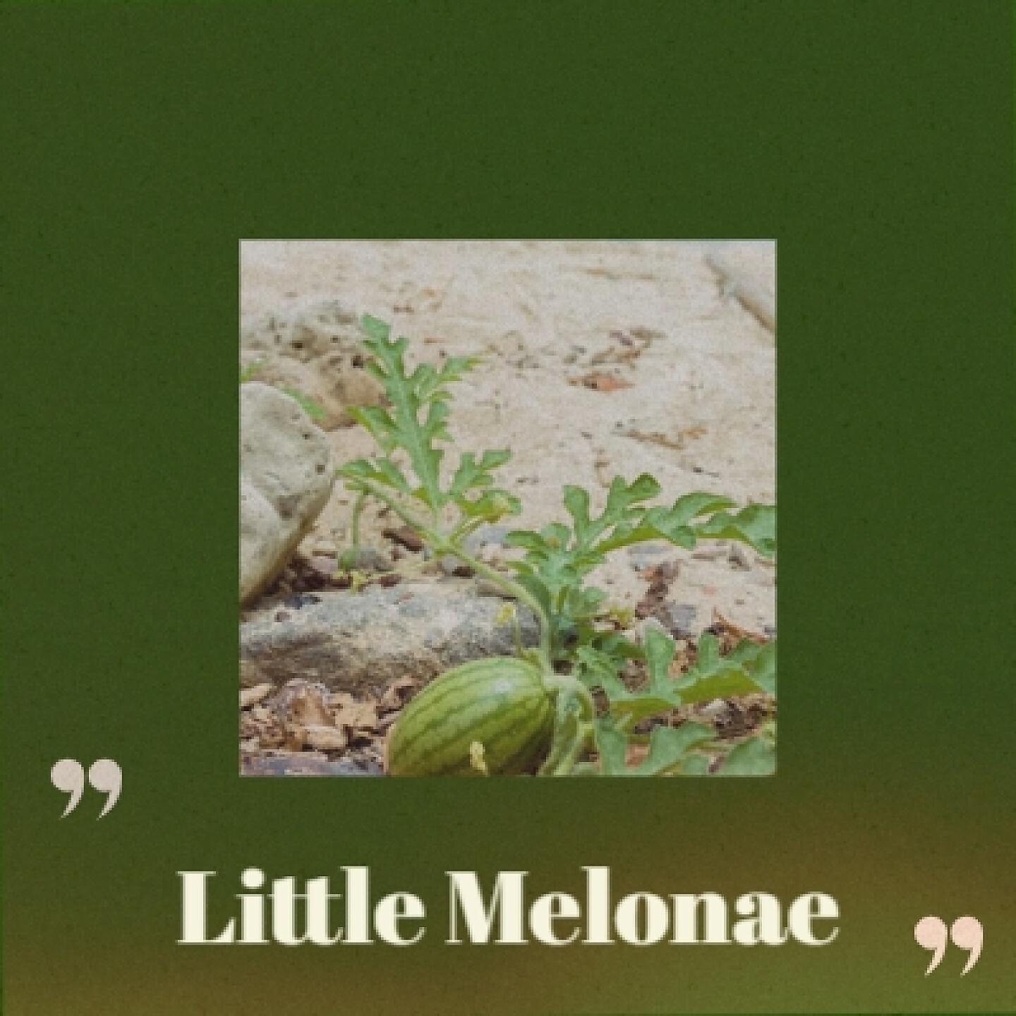 Vera Lynn - My Son, My Son