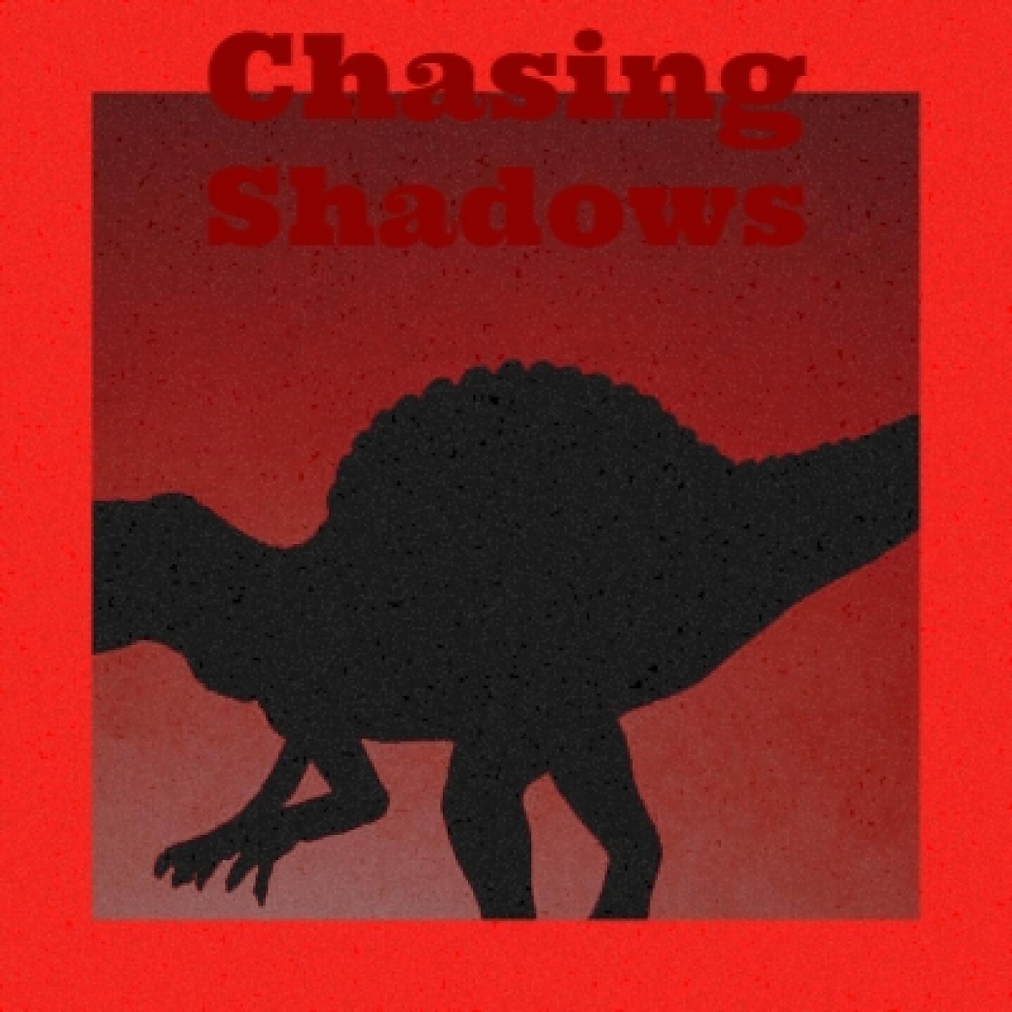 Henry Hall - Chasing Shadows