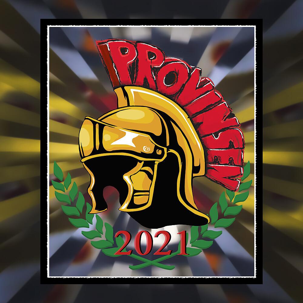 Постер альбома Provinsen 2021