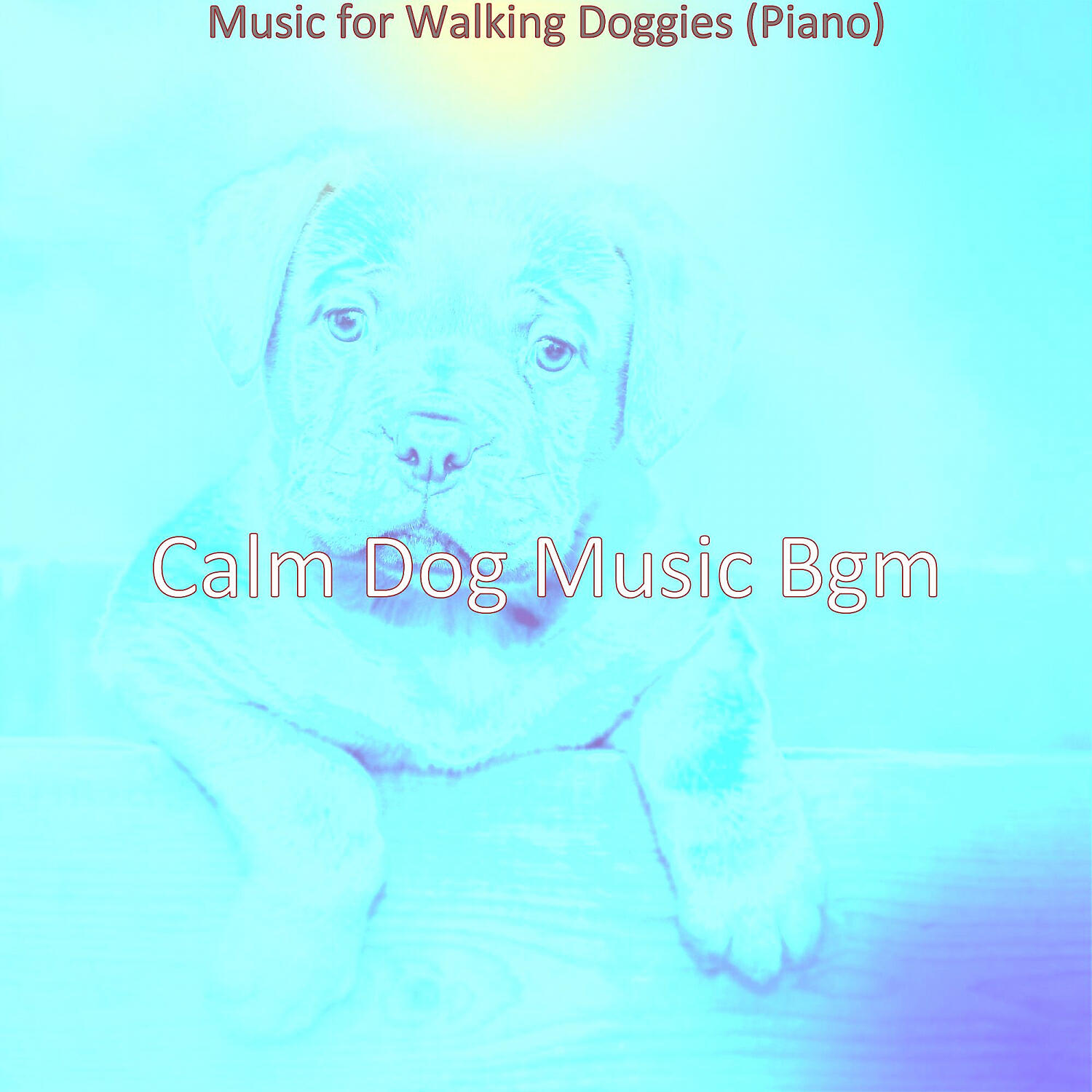 Calm Dog Music Bgm - Excellent Doggy Training