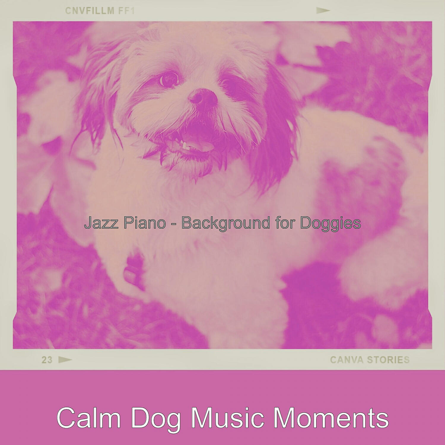 Calm Dog Music Moments - Classic Backdrops for Walking Doggies