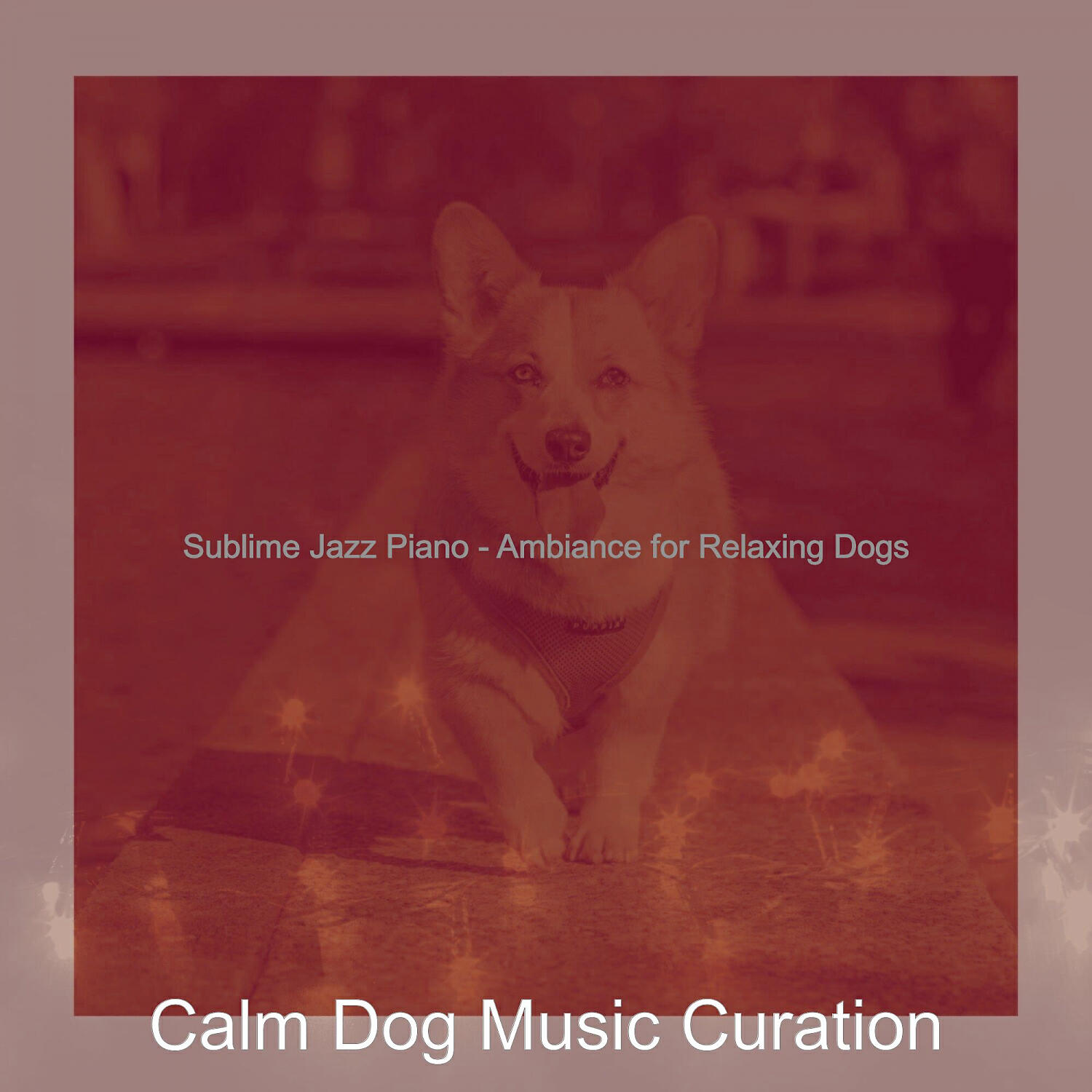 Calm Dog Music Curation - Uplifting Solo Piano Jazz - Vibe for Walking Doggies