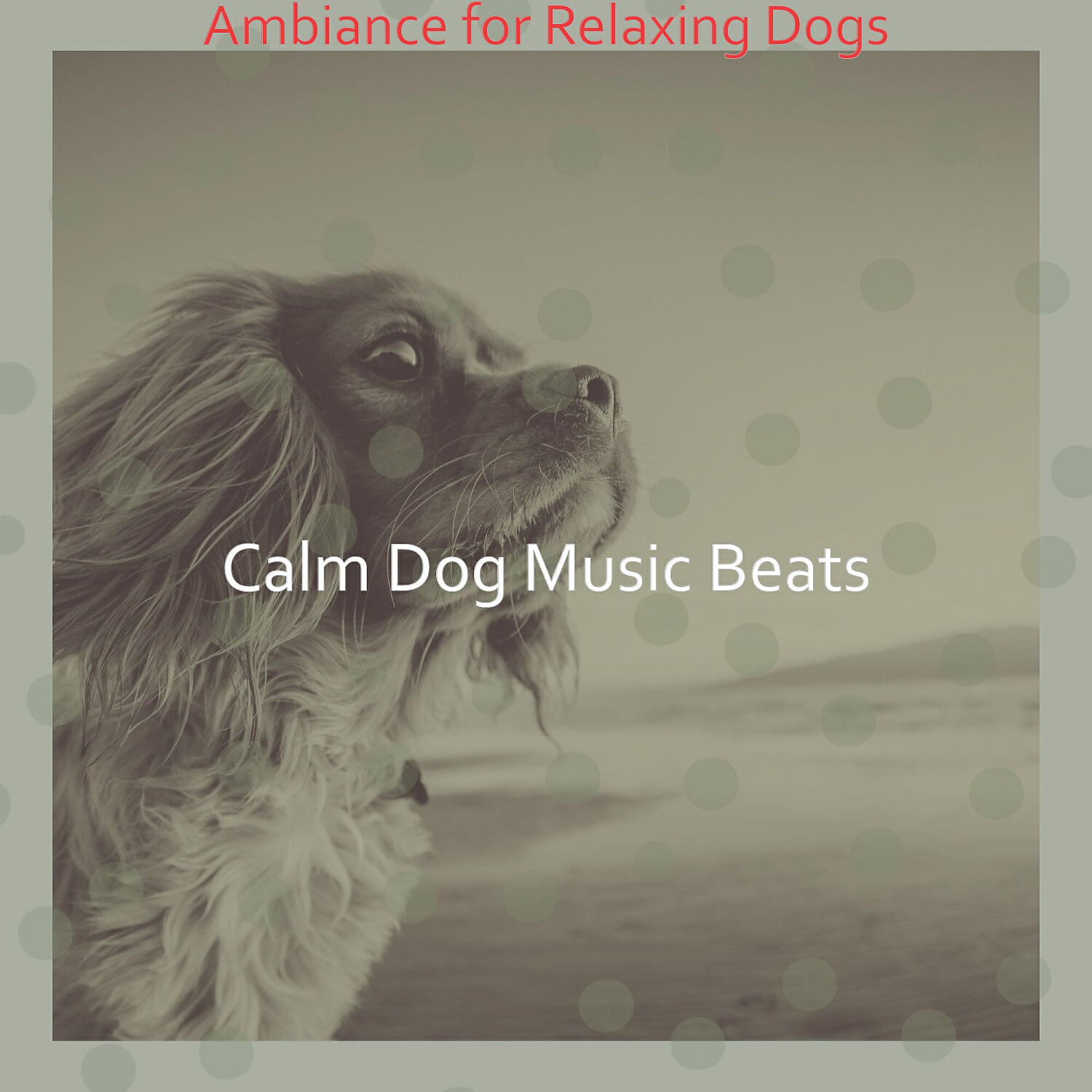 Calm Dog Music Beats - Majestic Music for Impression