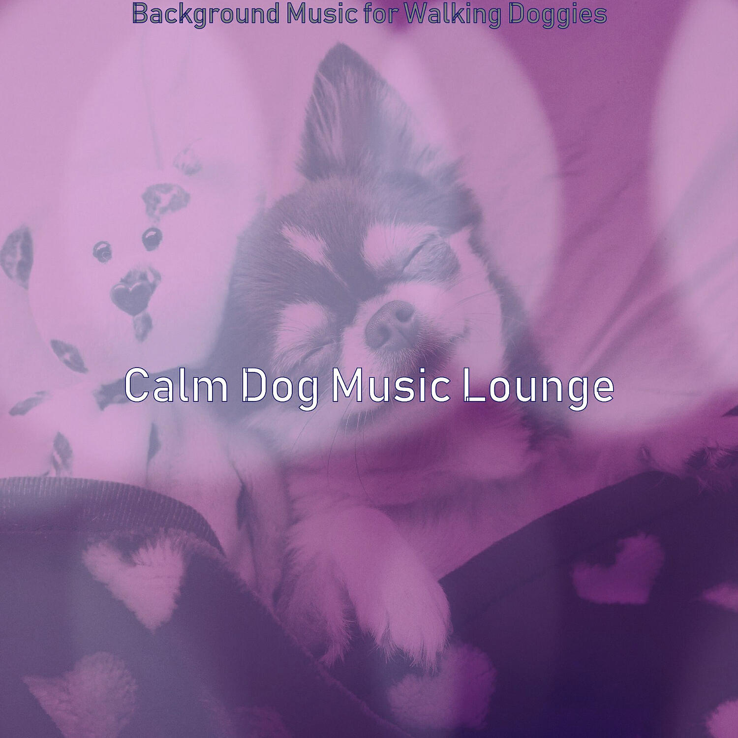Calm Dog Music Lounge - Tranquil Backdrops for Walking Doggies