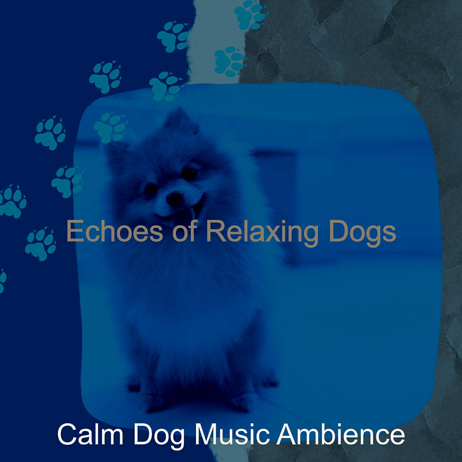 Calm Dog Music Ambience - Stylish Solo Piano Jazz - Vibe for Cute Dogs