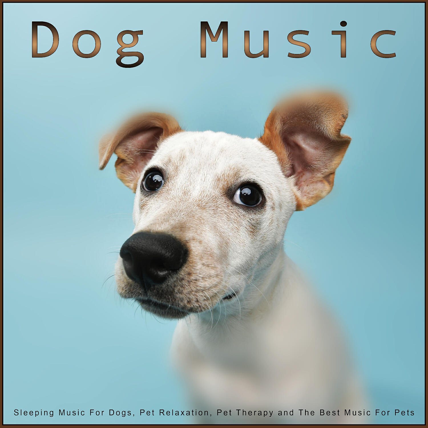 Dog Music - Calm Dog Music