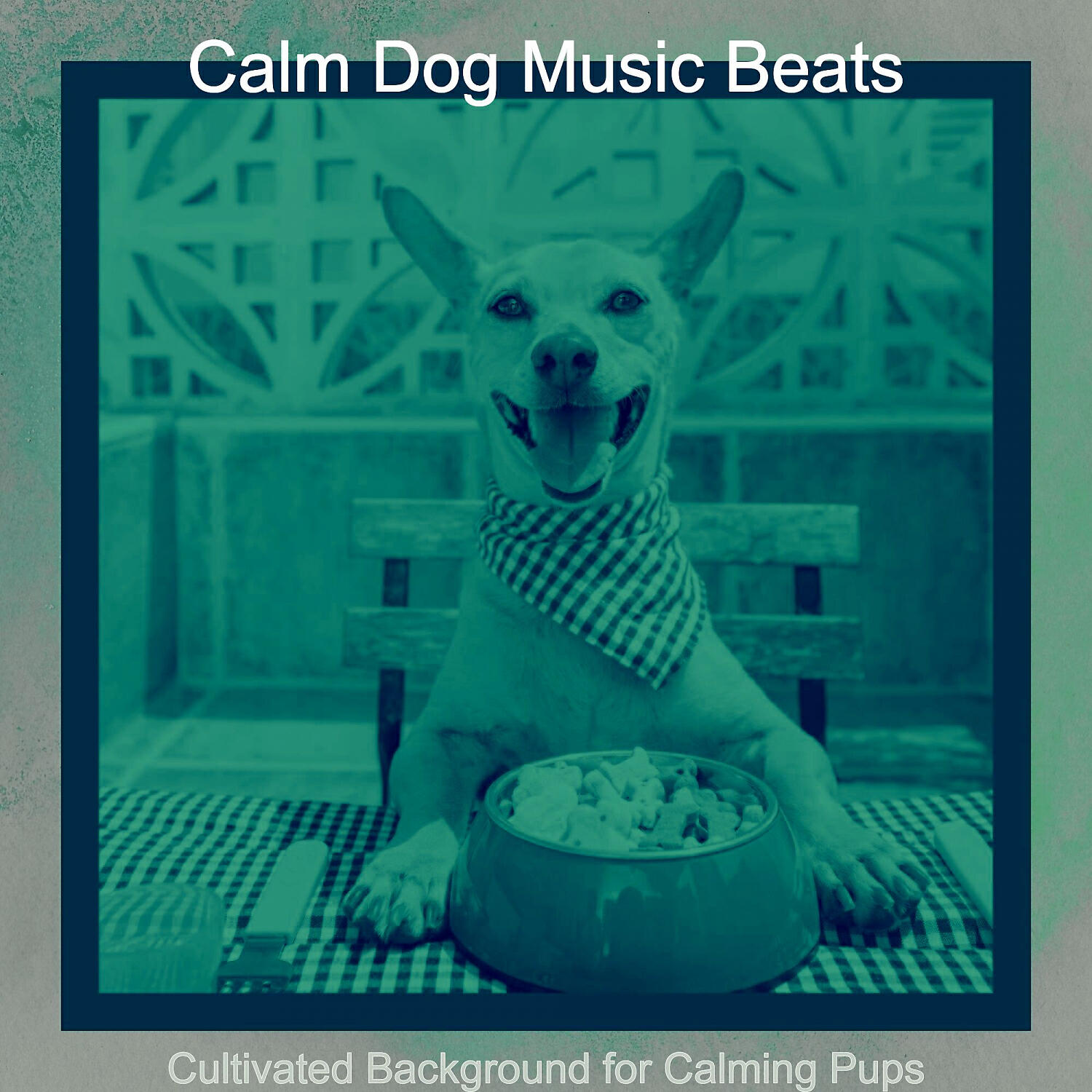 Calm Dog Music Beats - Wonderful Solo Piano Jazz - Vibe for Calming Pups