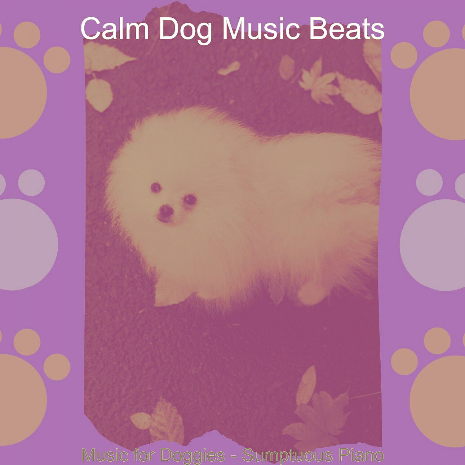 Calm Dog Music Beats - Friendly Solo Piano Jazz - Vibe for Relaxing Dogs