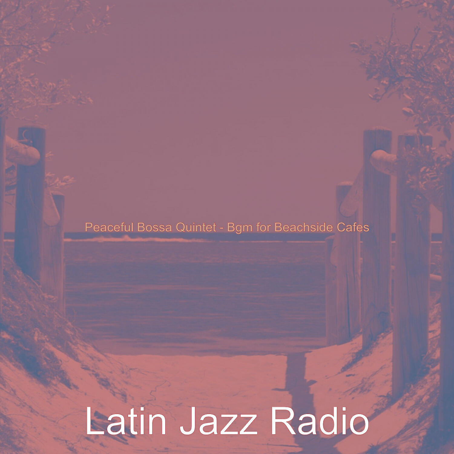 Latin Jazz Radio - Bossa Quintet Soundtrack for Beach Bars