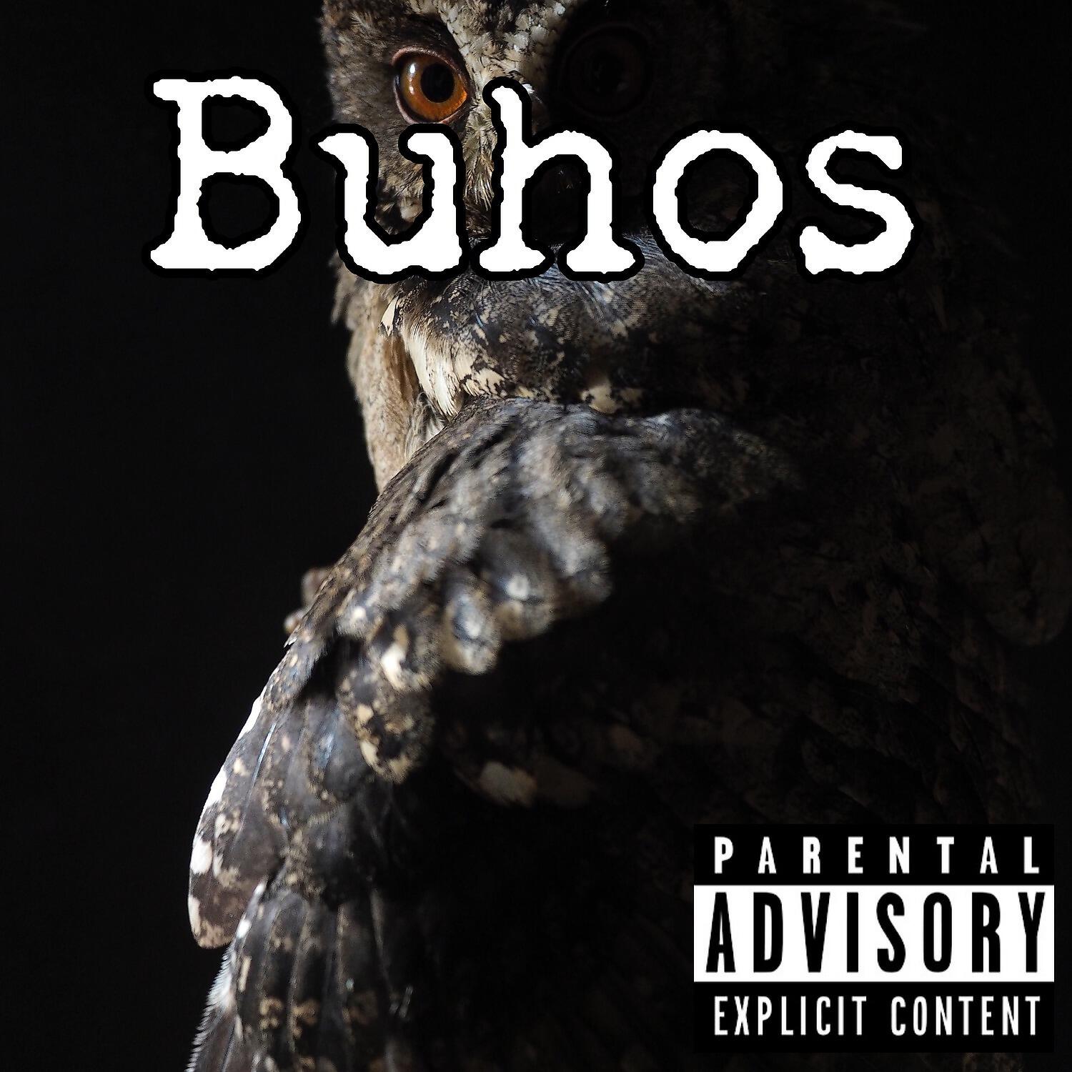 QBA - Buhos