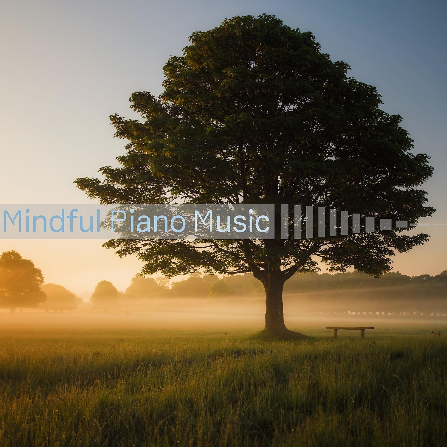 Постер альбома Mindful Piano Music