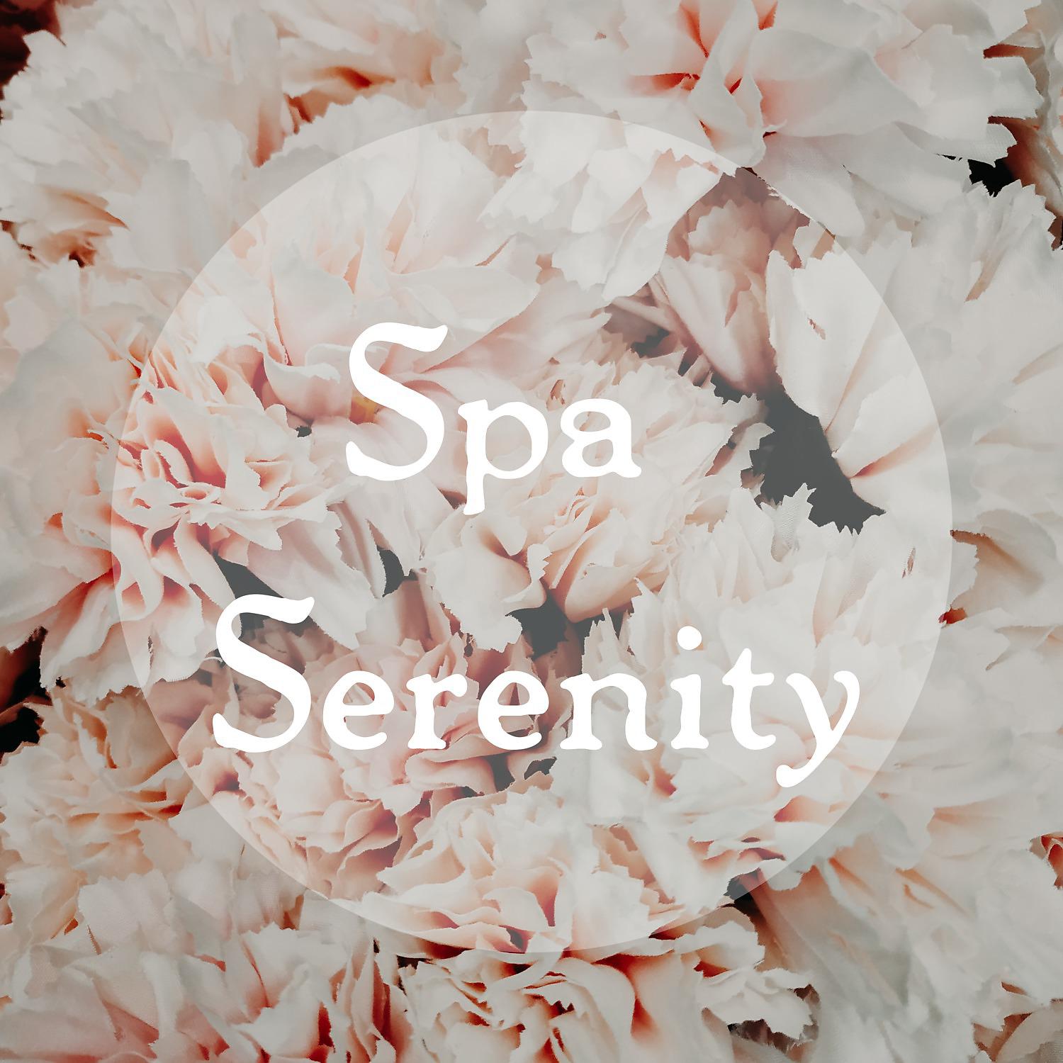Постер альбома Spa Serenity
