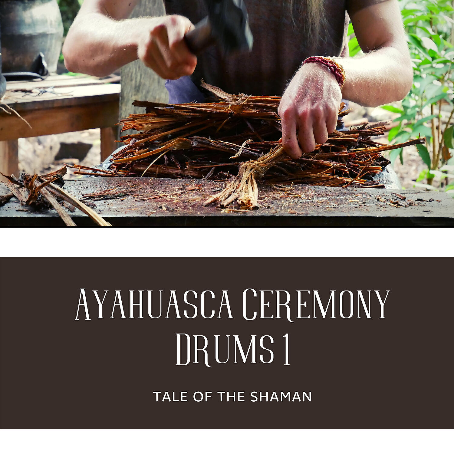 Tale of the Shaman - Incite Visionary Ecstasy