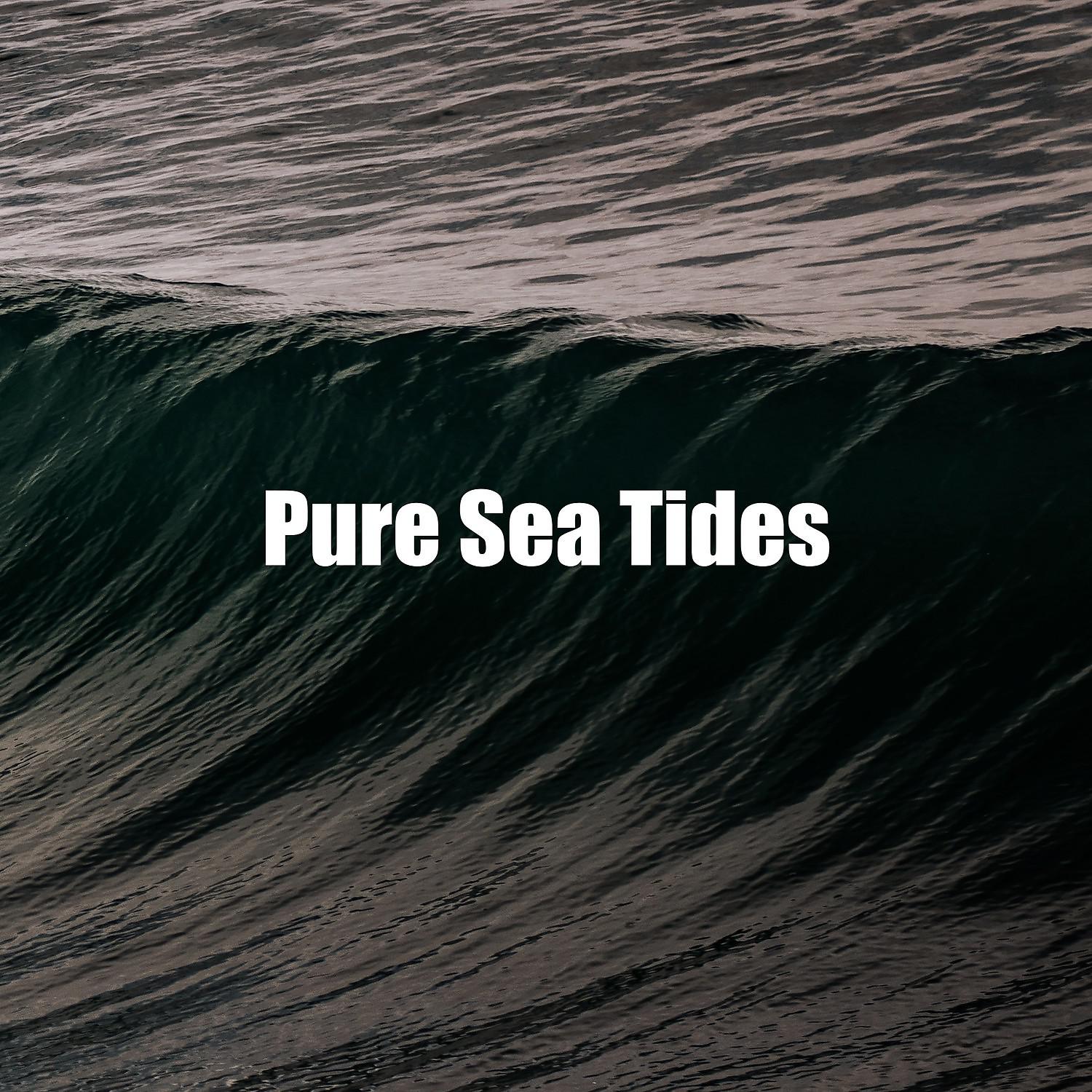 Постер альбома Pure Sea Tides