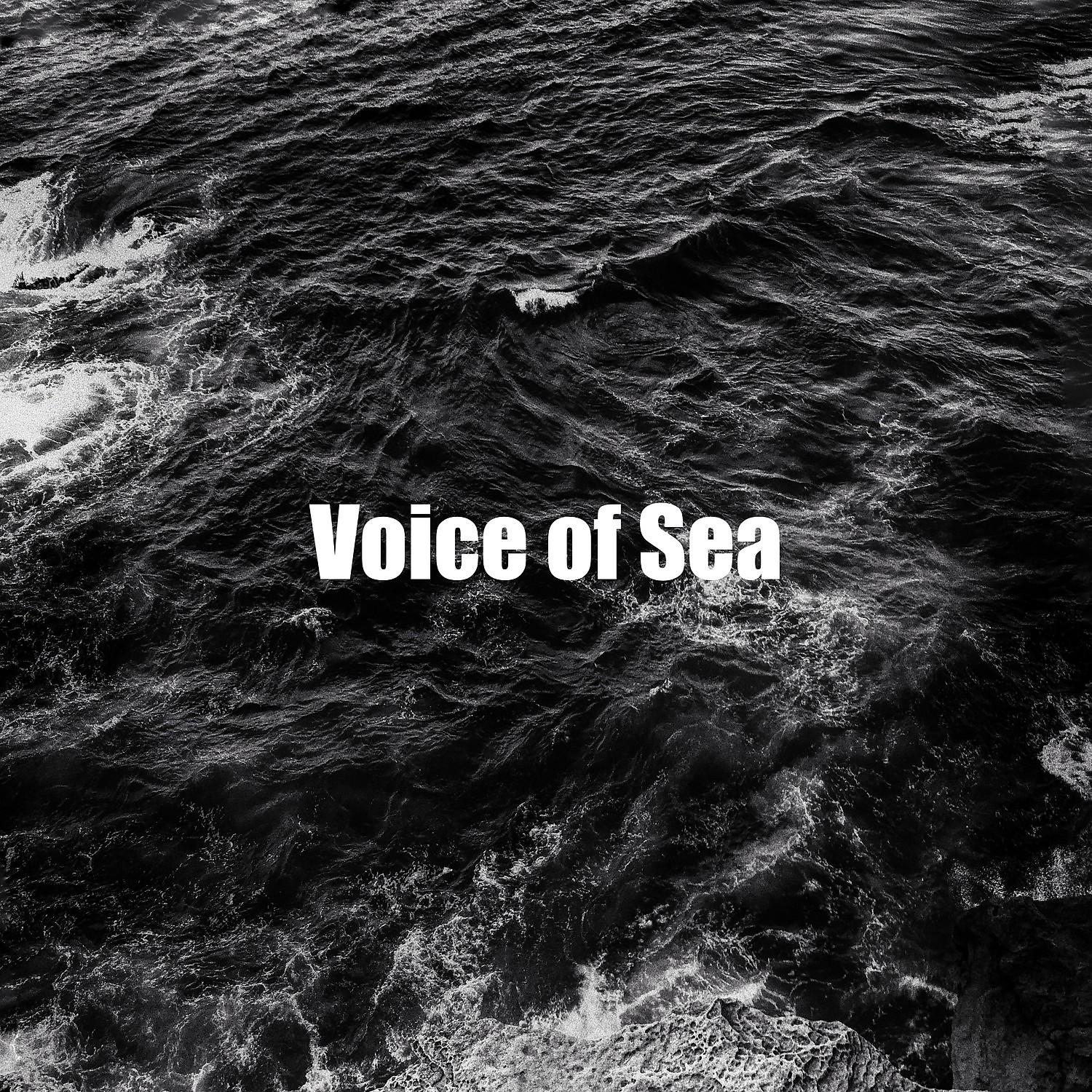 Постер альбома Voice of Sea