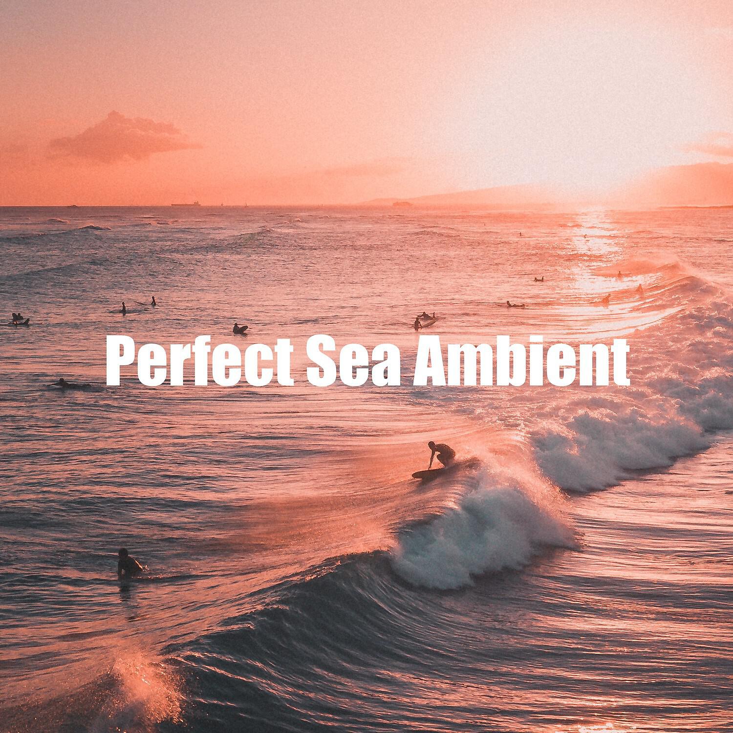 Sea Sounds - Very Pleasant Waves Sound