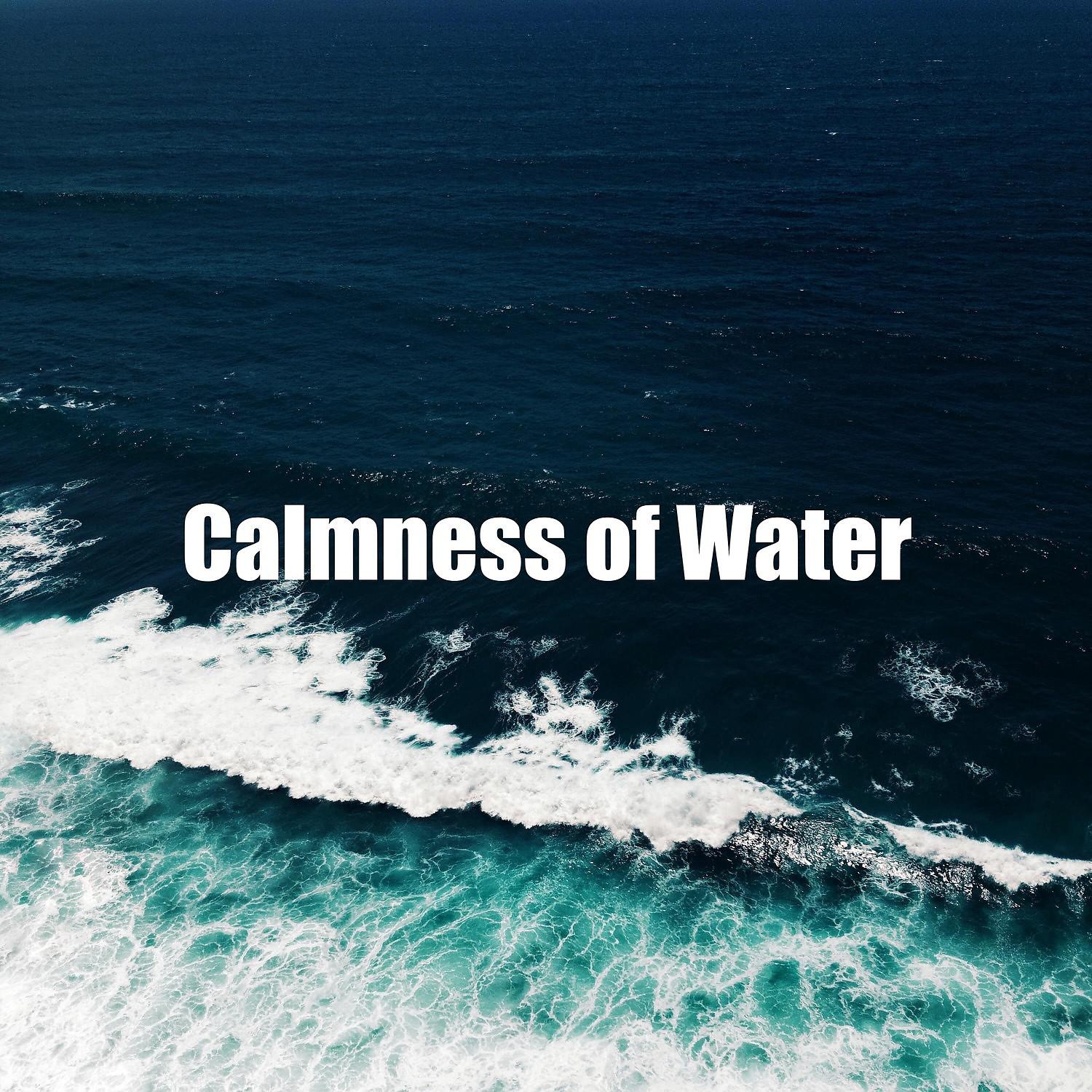 Постер альбома Calmness of Water