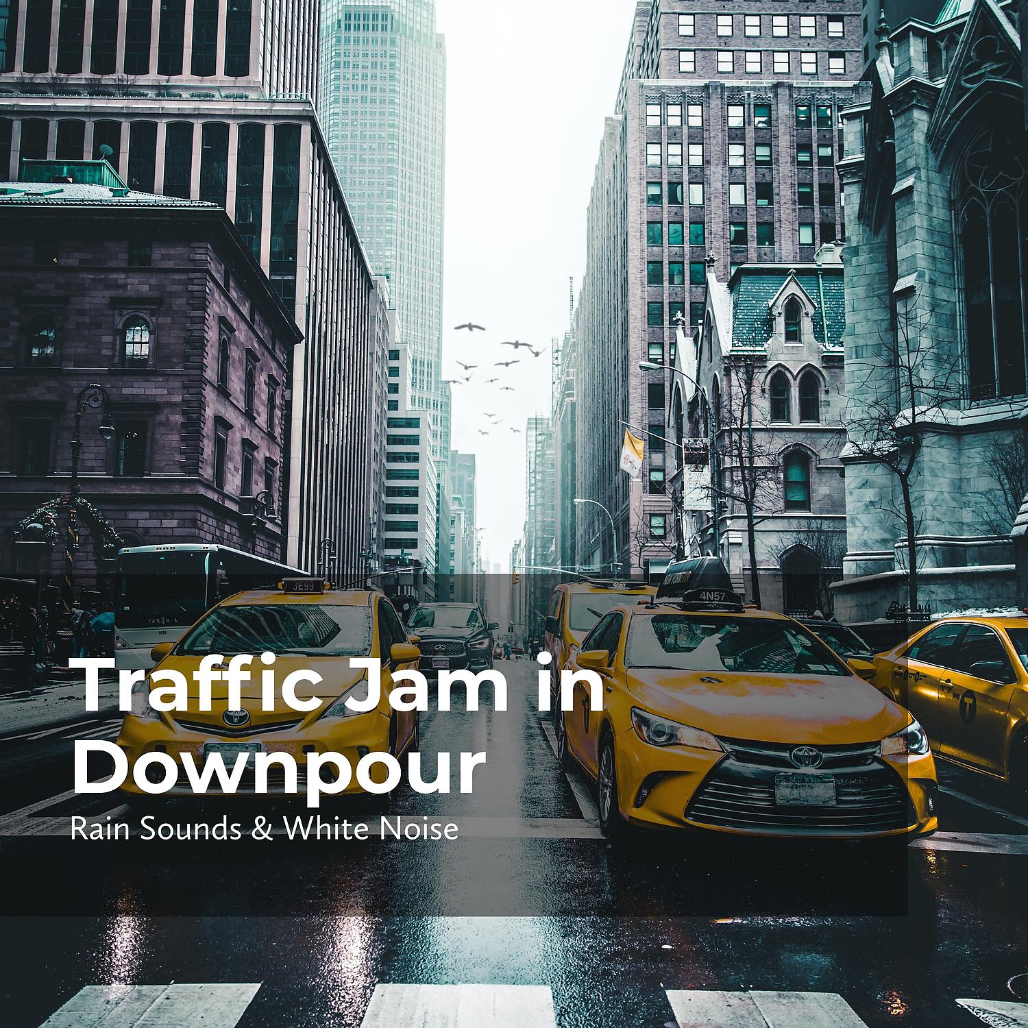 Постер альбома Traffic Jam in Downpour