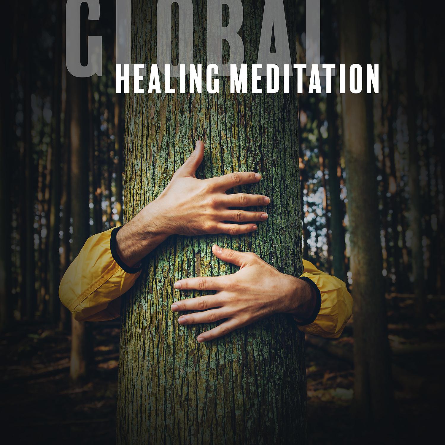 Постер альбома Global Healing Meditation: Peace, Calm, Love, Coping with Crisis & Deep Relaxation Music