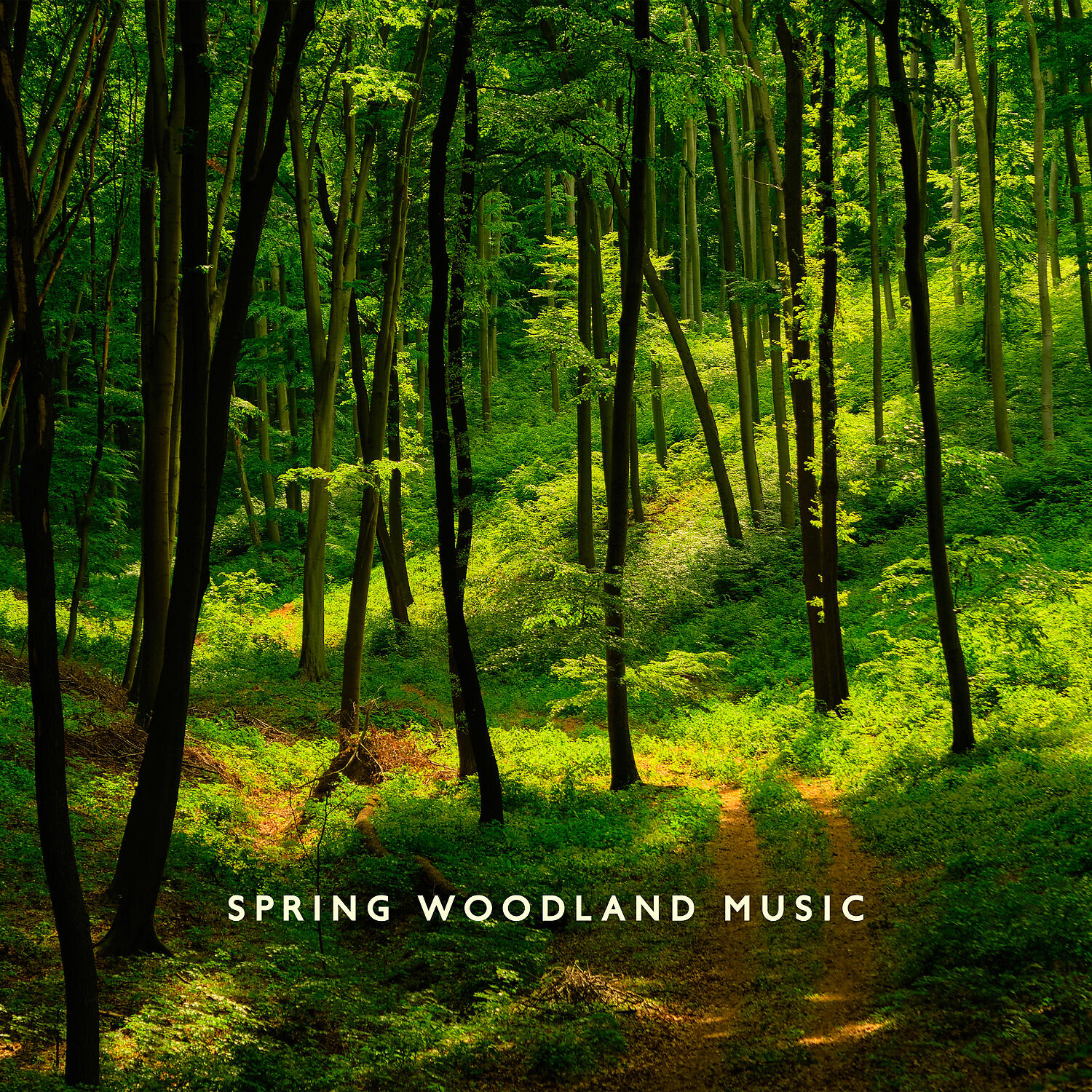 Stress-Free Zone - Oriental Forest Tales