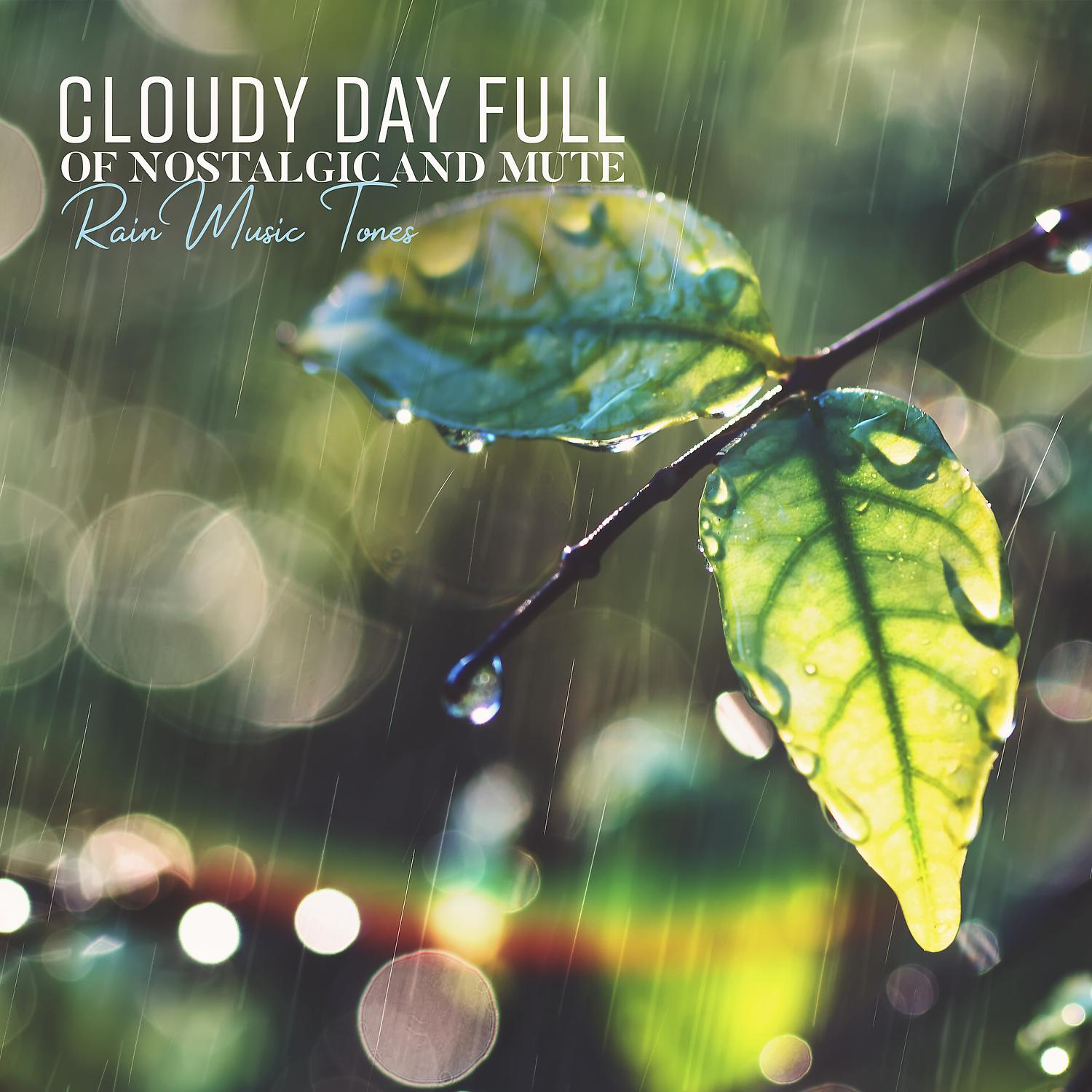 Постер альбома Cloudy Day Full of Nostalgic and Mute: Rain Music Tones